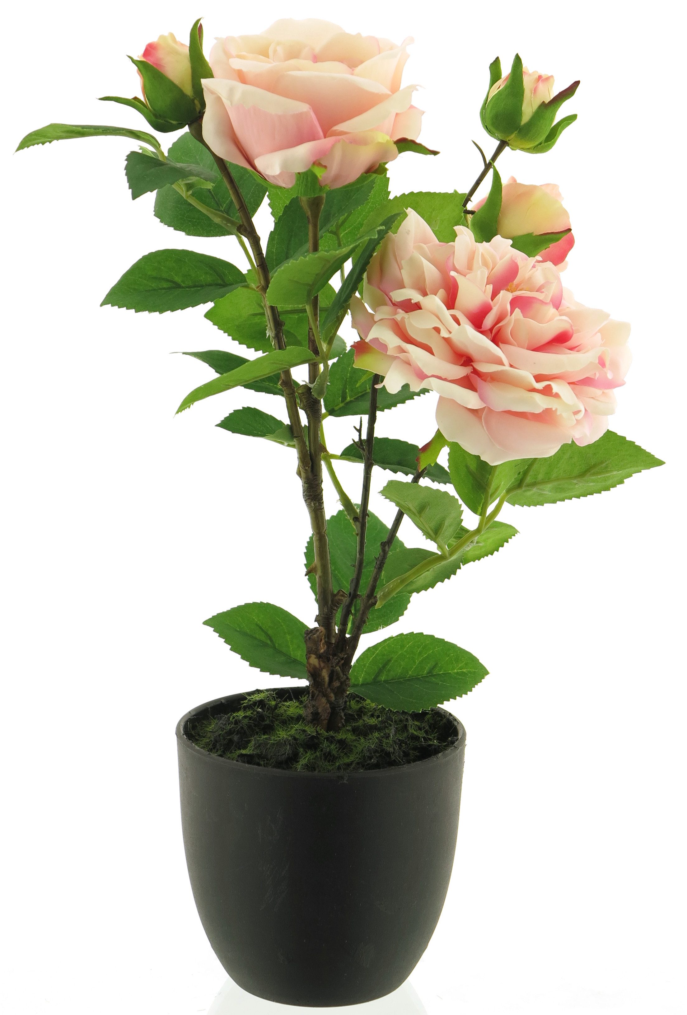 Kunstpflanze Rosenstock 38cm