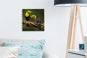 OneMillionCanvasses® Leinwandbild Vögel - Tukan - Zweig - Tiere - Regenbogen, (1 St), Leinwand Bilder für Wohnzimmer Schlafzimmer