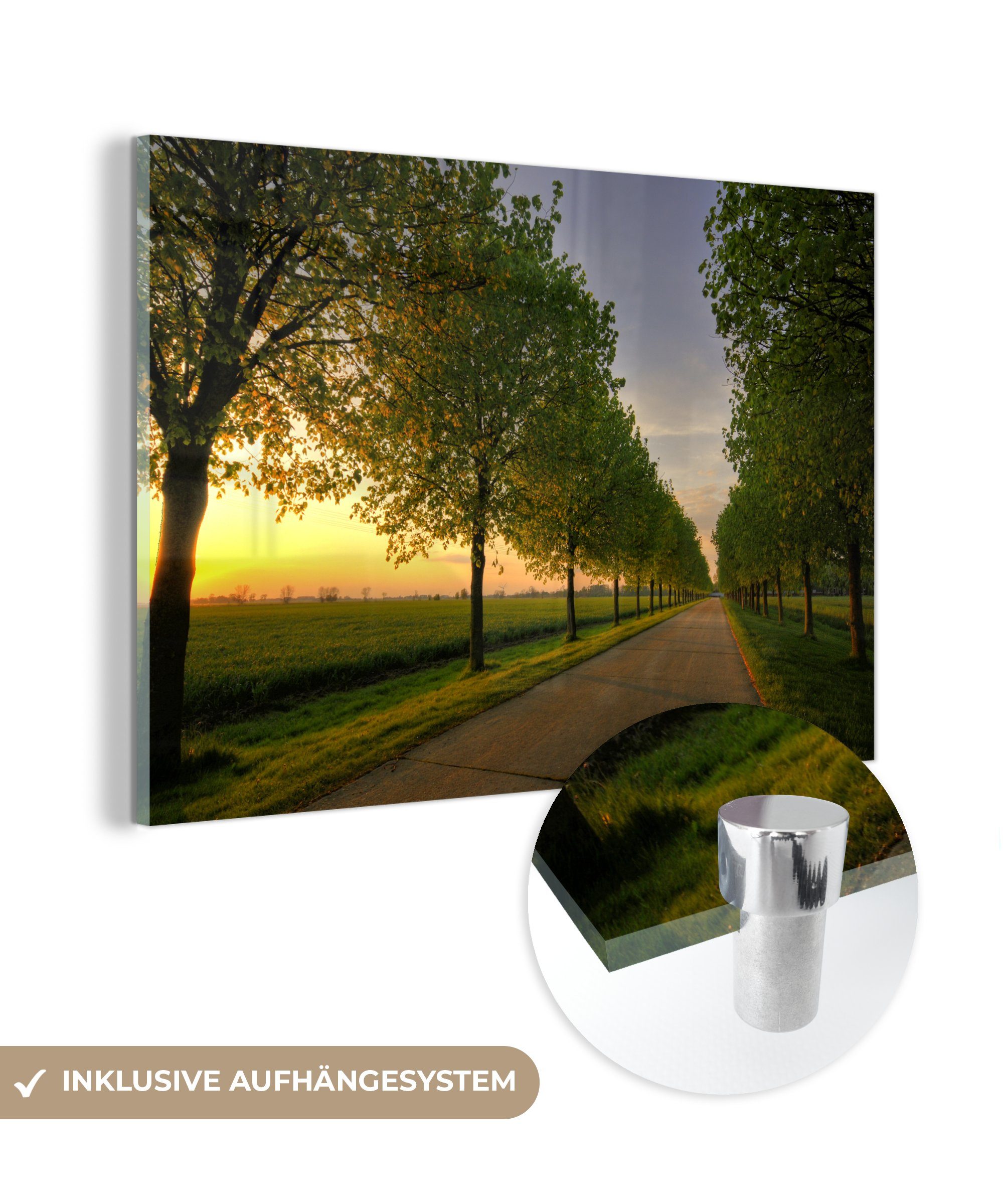 MuchoWow Acrylglasbild Allee mit Bäumen, (1 St), Acrylglasbilder Wohnzimmer & Schlafzimmer