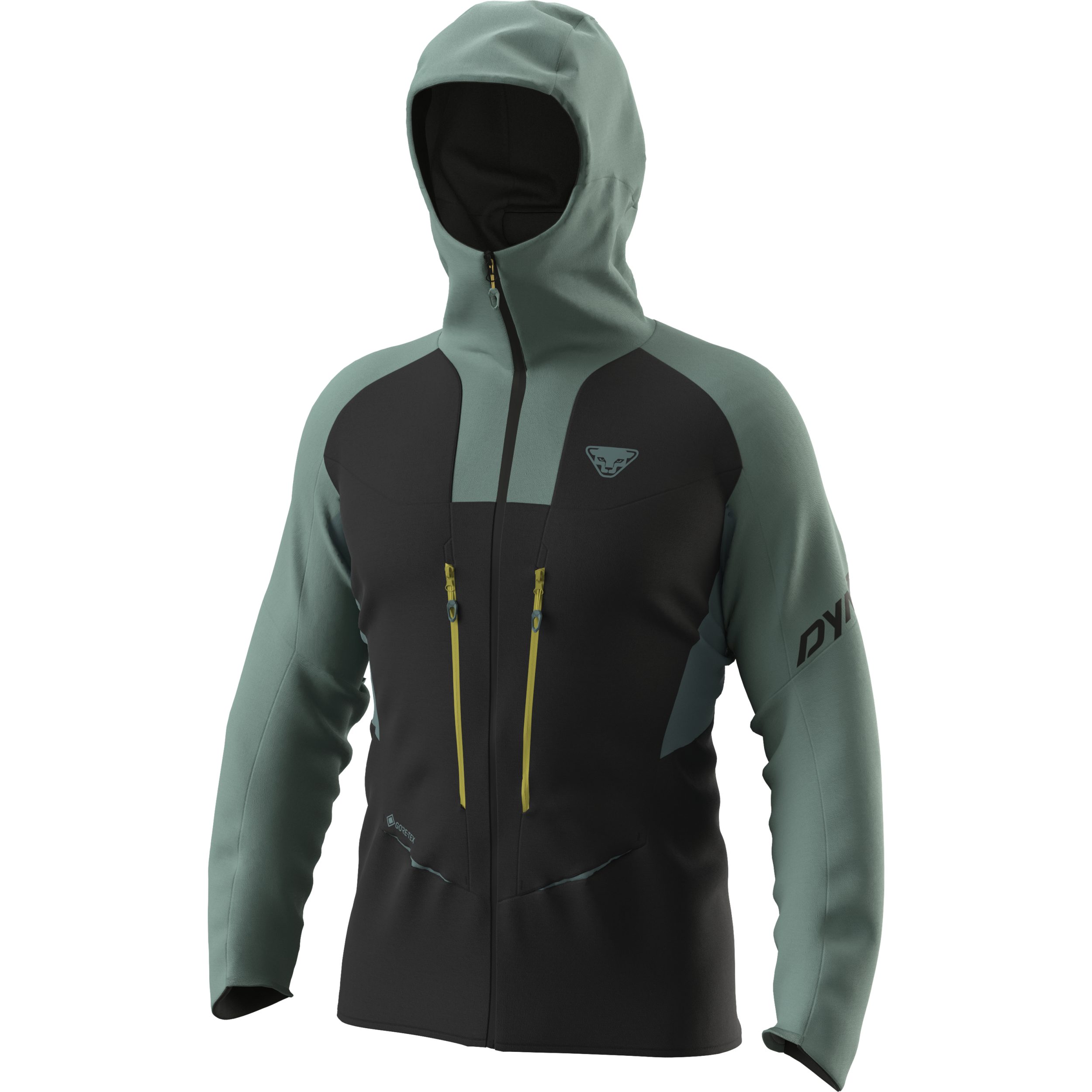 Outdoorjacke TLT GTX M JKT ATLANTIC/0910