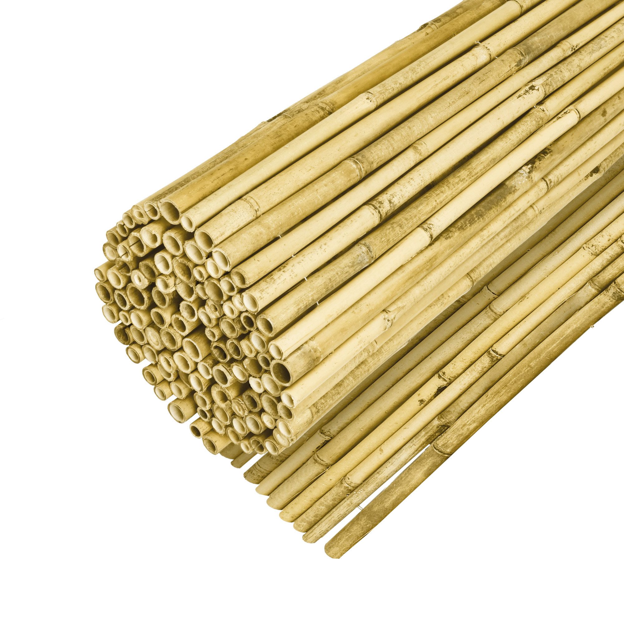 Sol Royal Sichtschutzzaunmatten Hell Glänzend Premium Bambus Sichtschutz 80 hoch SolVision B99, Bambusrohre Ø2-3cm Witterungsbeständig Bambuszaun