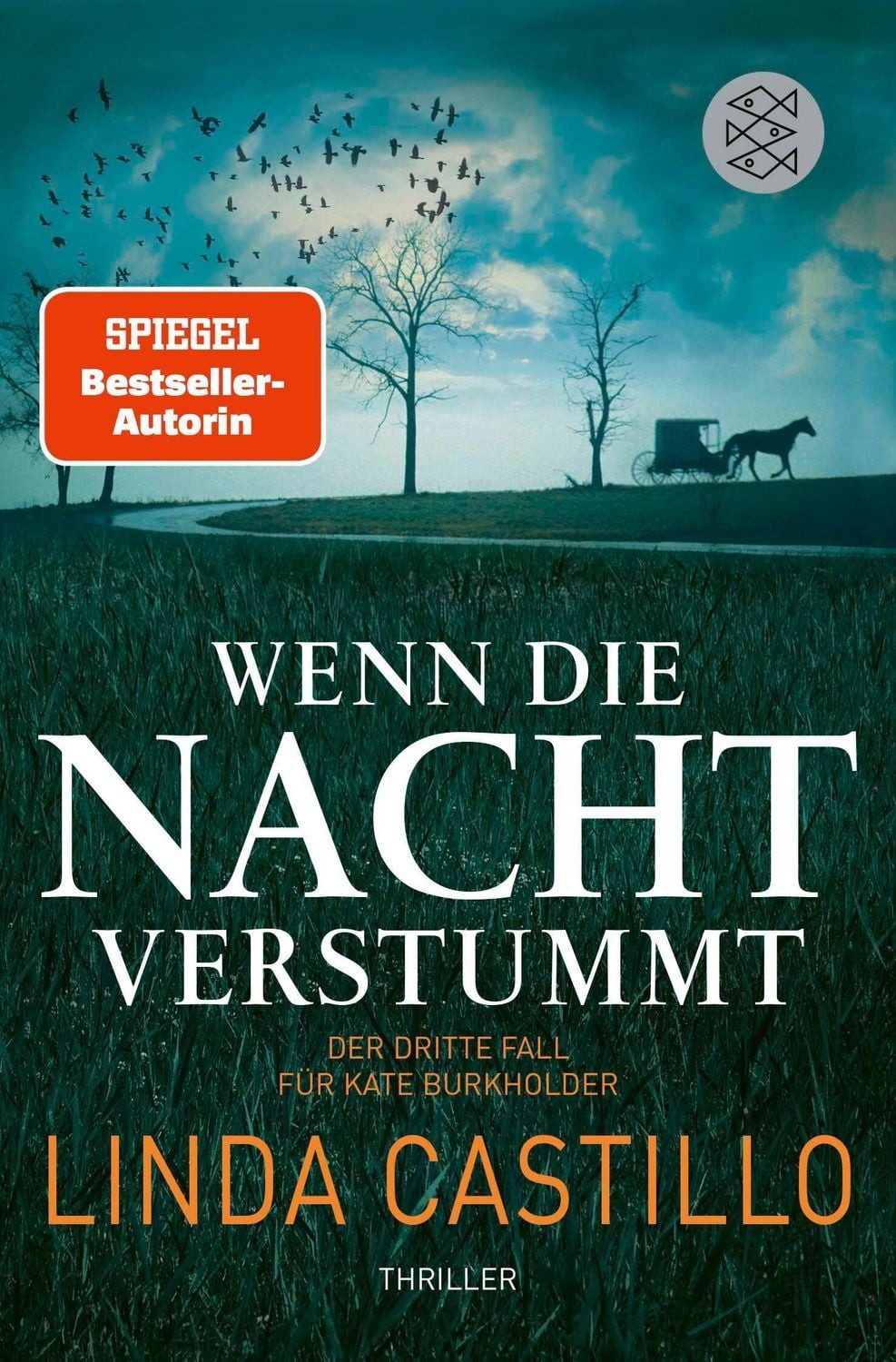 Wenn die Nacht verstummt / Kate Burkholder Band 3 / Linda Castillo