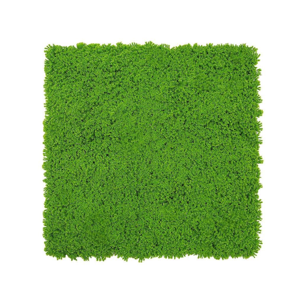 JANGAL 3D Wandpaneel Modular Wall, 520 x 520 mm, Design Moos, Grün