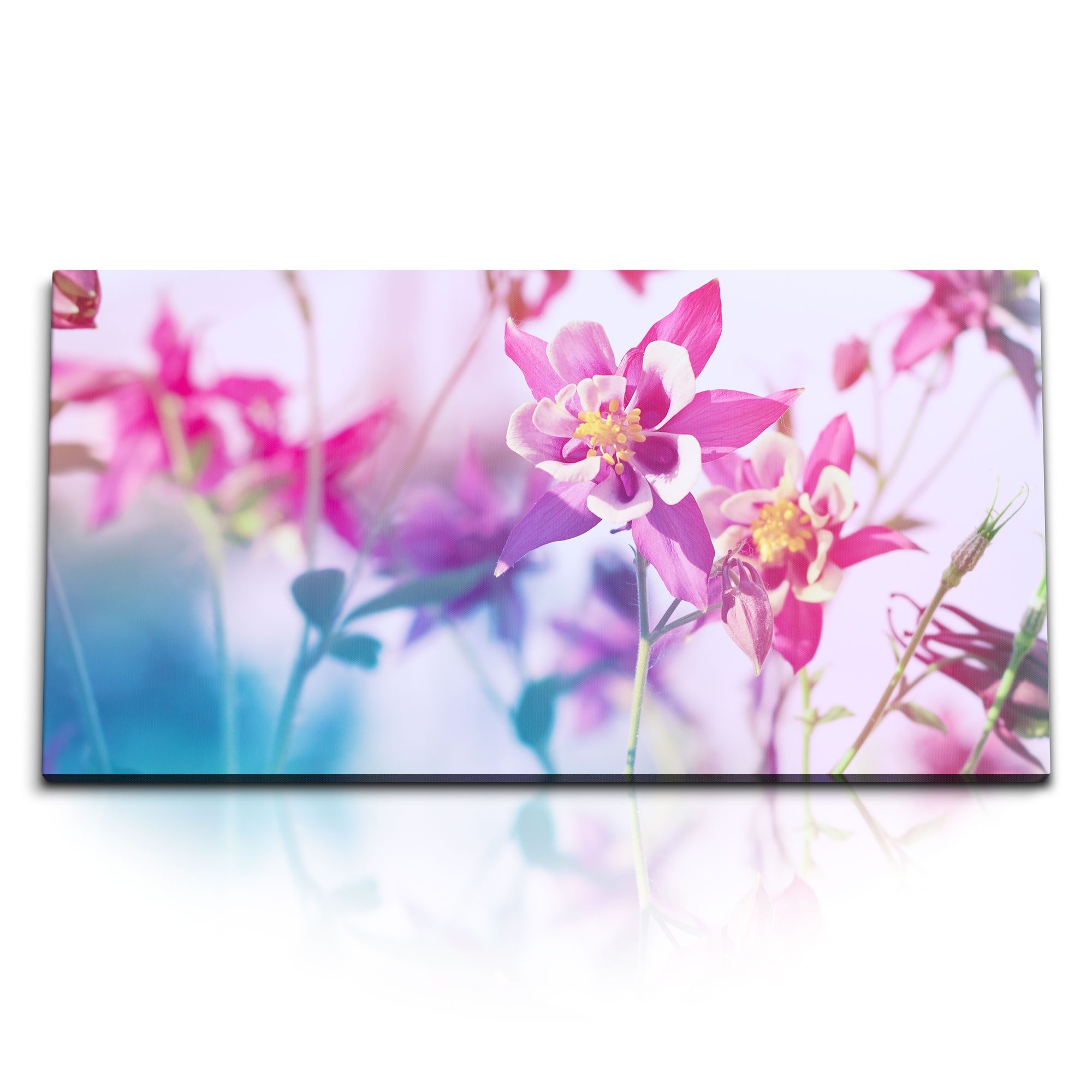 Leinwandbild Kunstdruck Bilder 120x60cm Sommer Blumen Sonnenschein Blüten Lila Rosa