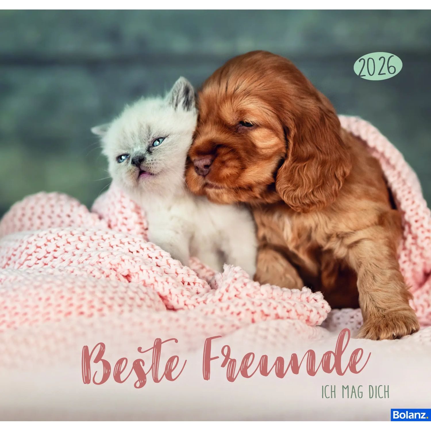 Wandkalender Beste Freunde 2026