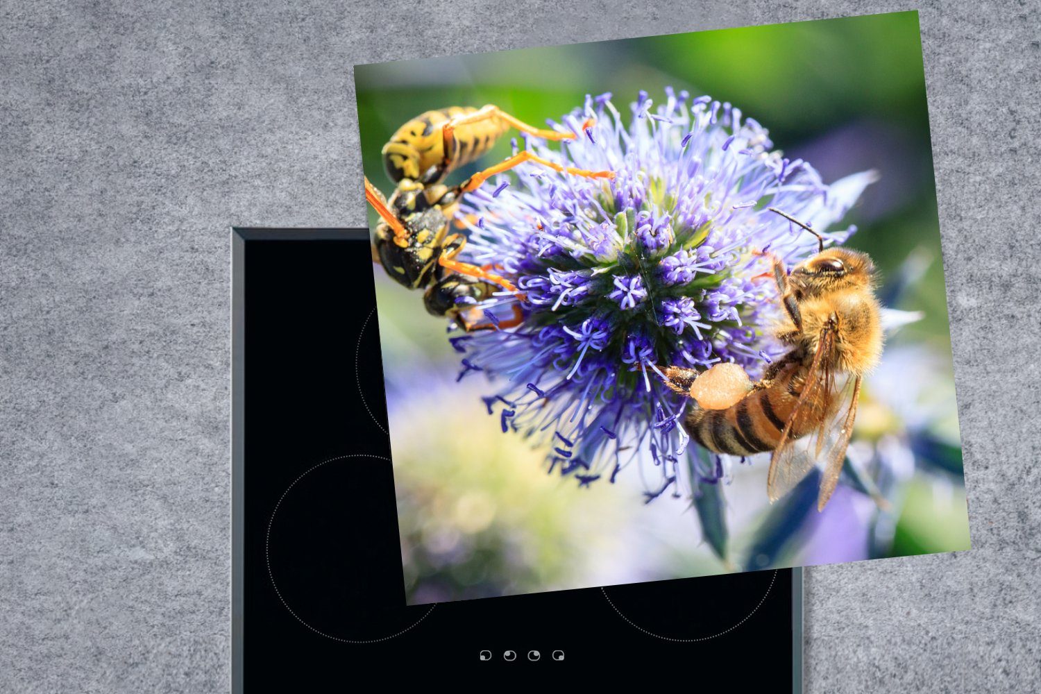 Bienen für Vinyl, Herdblende-/Abdeckplatte MuchoWow cm, einer Ceranfeldabdeckung, Arbeitsplatte Kugeldistel, (1 auf 78x78 küche Drei tlg),