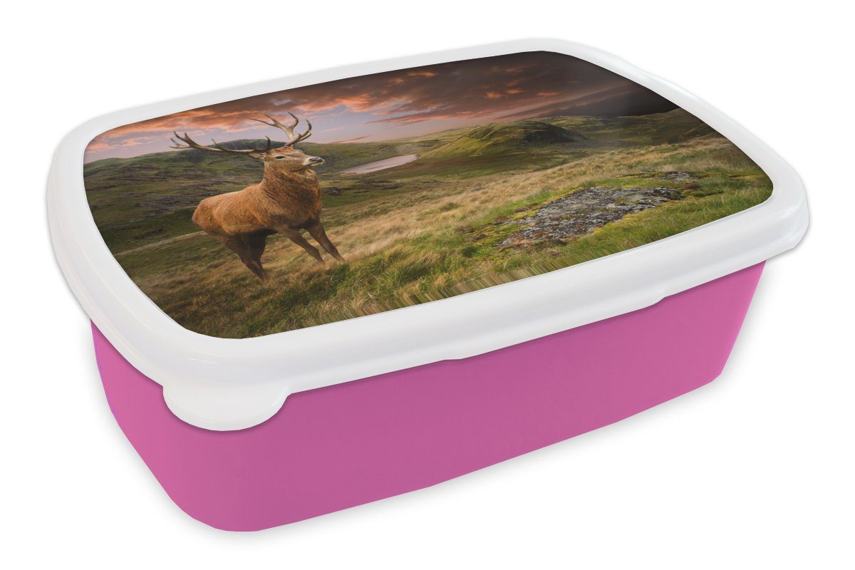 MuchoWow Lunchbox Hirsche - Berge - Natur, Kunststoff, (2-tlg), Brotbox für Erwachsene, Brotdose Kinder, Snackbox, Mädchen, Kunststoff rosa