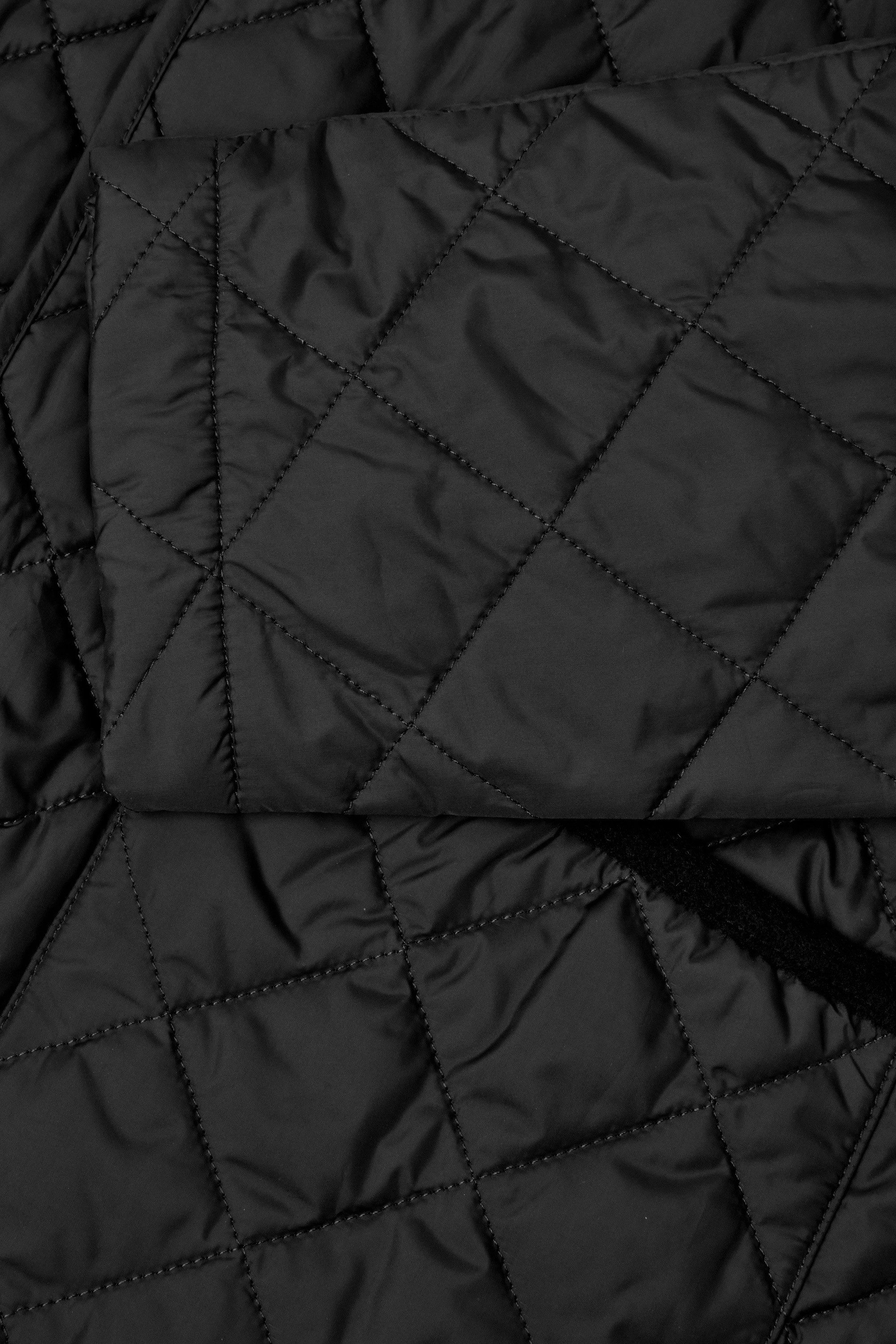 Digel Winterjacke Dalton (1-St) Sorona® Wattierung, wasserabweisend, Kragen aus wasserdichter Wolle