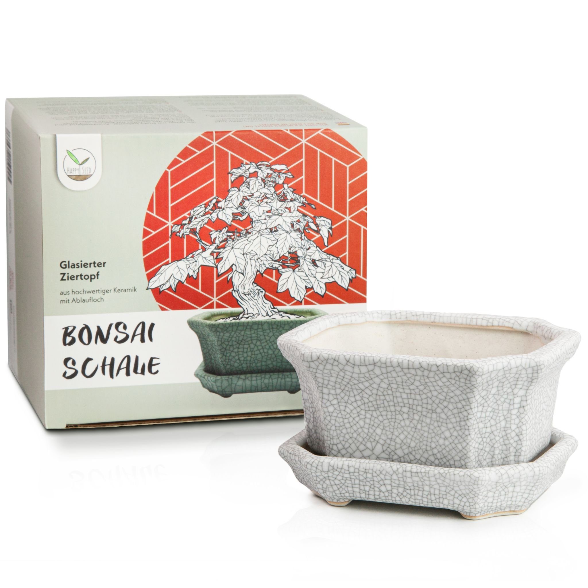 HappySeed Pflanzschale Bonsai Schale aus Keramik mit Untersetzer in Grau - 11 x 6,5 x 9 cm
