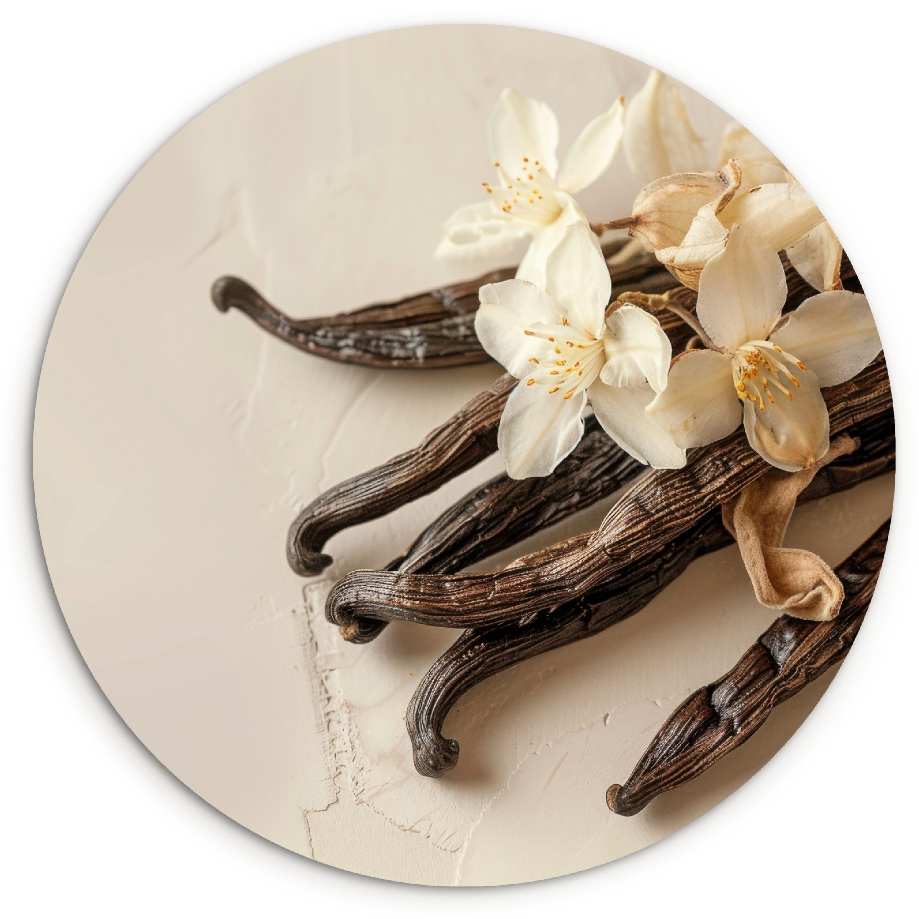 MuchoWow Gemälde Vanille - Geblümt - Beige, Fotodruck (1 St), Kreis Wanddekoration, Rundes Wandbild, 30x30 cm