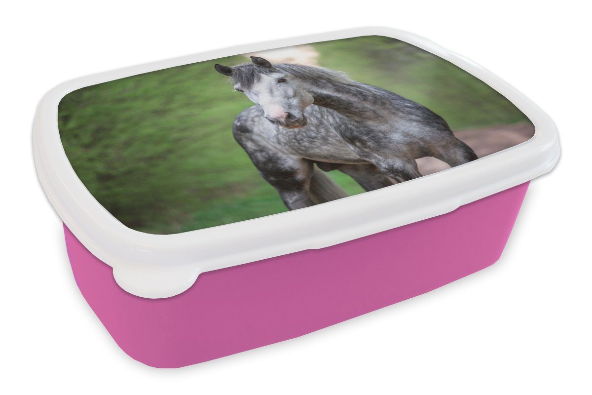 MuchoWow Lunchbox Pferd - Wald - Porträt, Kunststoff, (2-tlg), Brotbox für Erwachsene, Brotdose Kinder, Snackbox, Mädchen, Kunststoff rosa