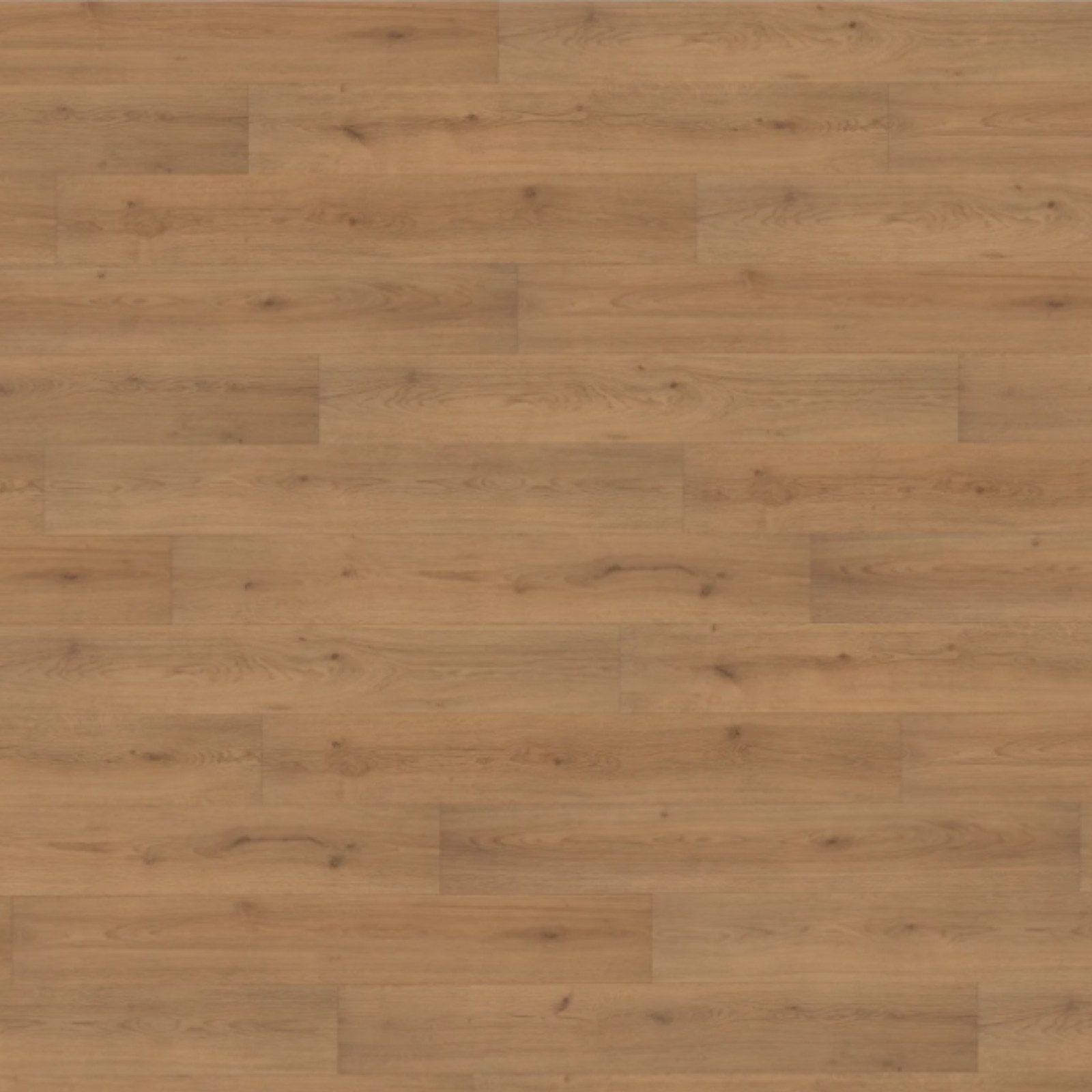 Hori Laminat HORI Laminat Holz, Boden günstig online kaufen