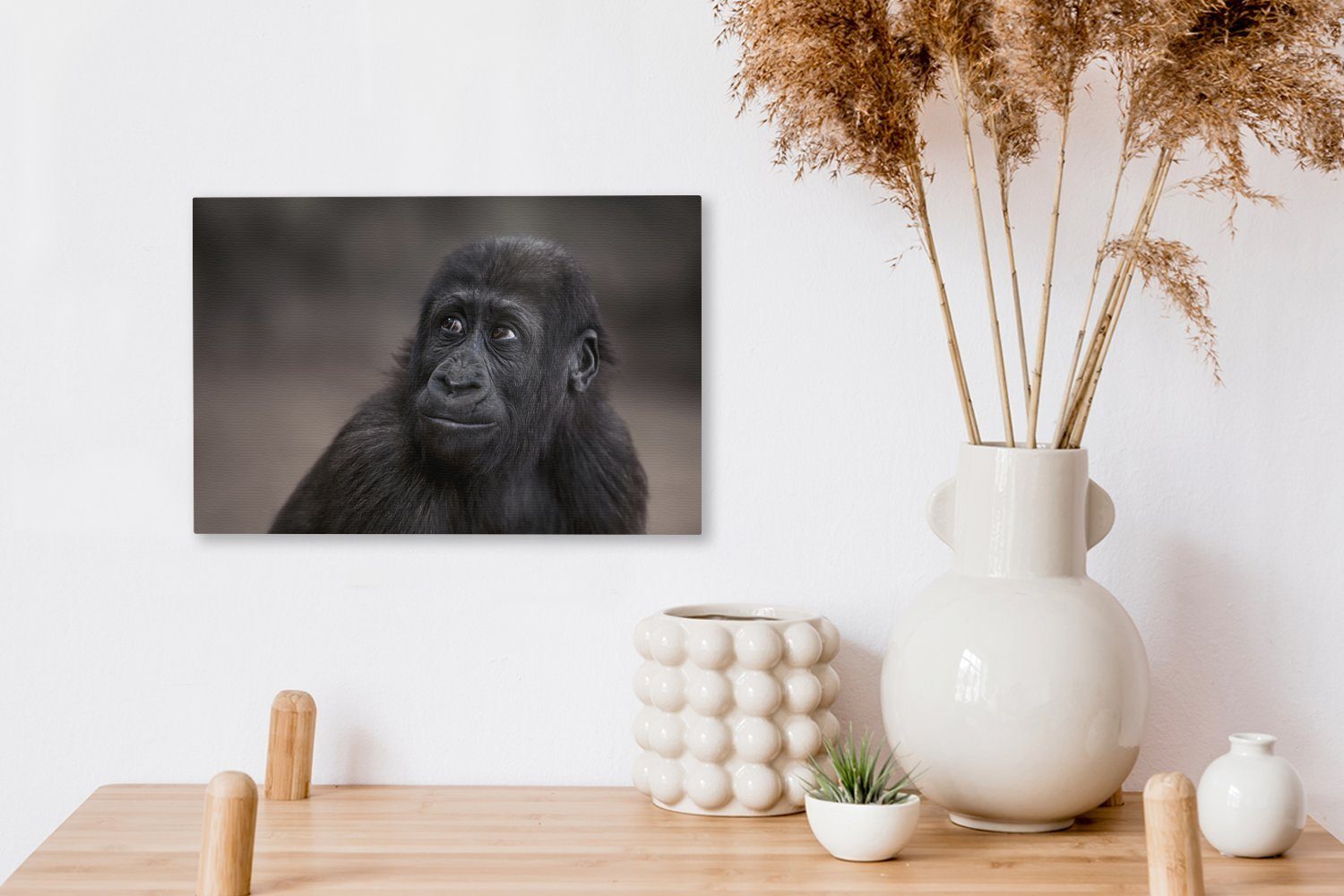 Leinwandbild (1 Wandbild OneMillionCanvasses® 30x20 Gorillas, Aufhängefertig, Wanddeko, St), Nahaufnahme eines Leinwandbilder, cm