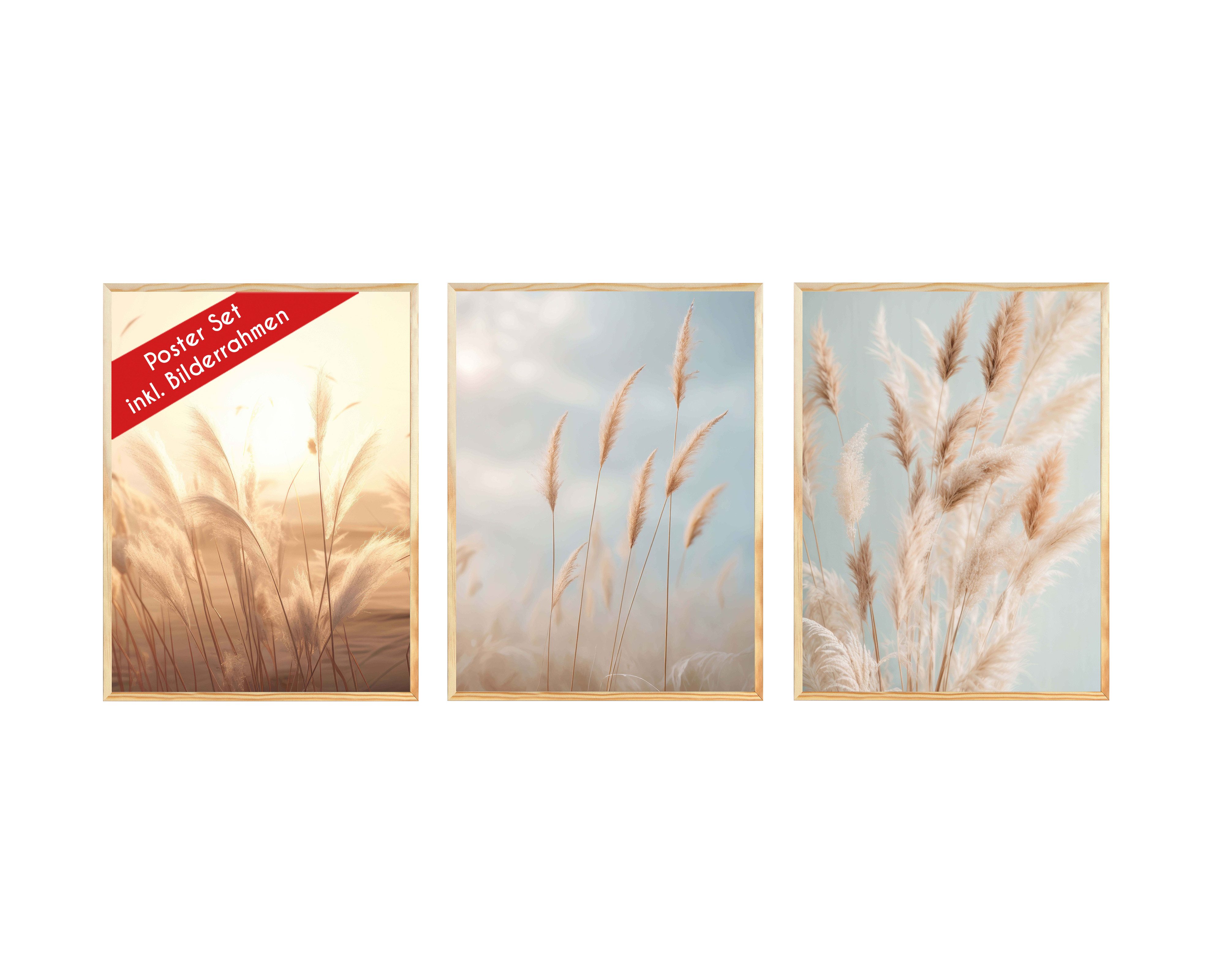 Wackadoo Living Poster Set inklusive Bilderrahmen, Pampasgras (3er Set aus italienischem Holz), Bildformat 30 x 40 cm