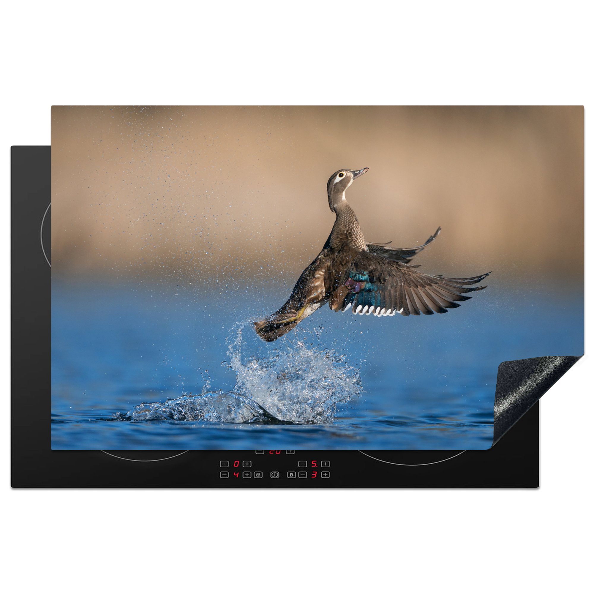 MuchoWow Herdblende-/Abdeckplatte Ente - Flügel - Wasser, Vinyl, (1 tlg), 81x52 cm, Induktionskochfeld Schutz für die küche, Ceranfeldabdeckung