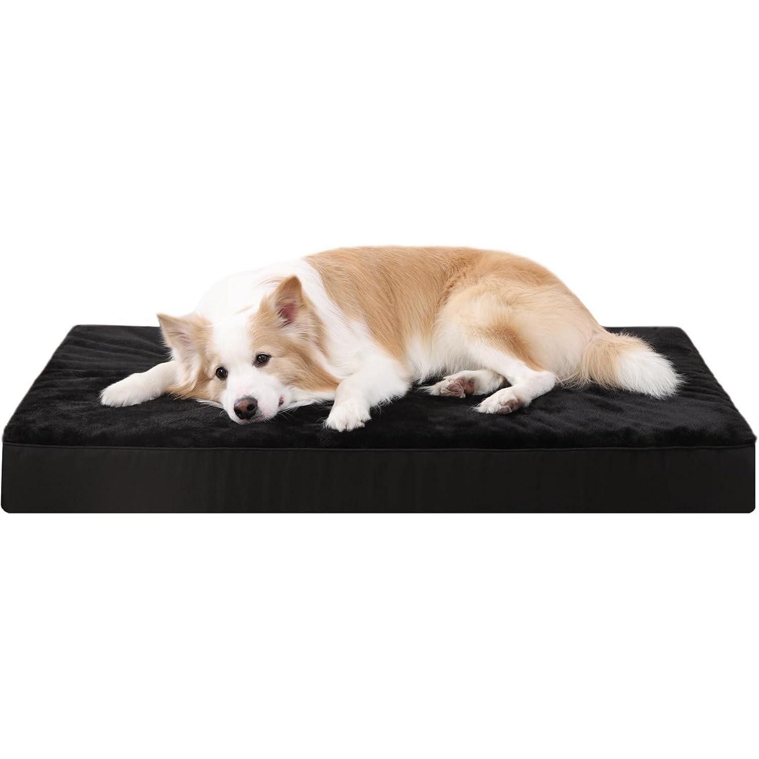 LuxusKollektion Hundebett Hundebett orthopädisches XL große Hunde Schwarz L 105 x B 70 x H 8 cm