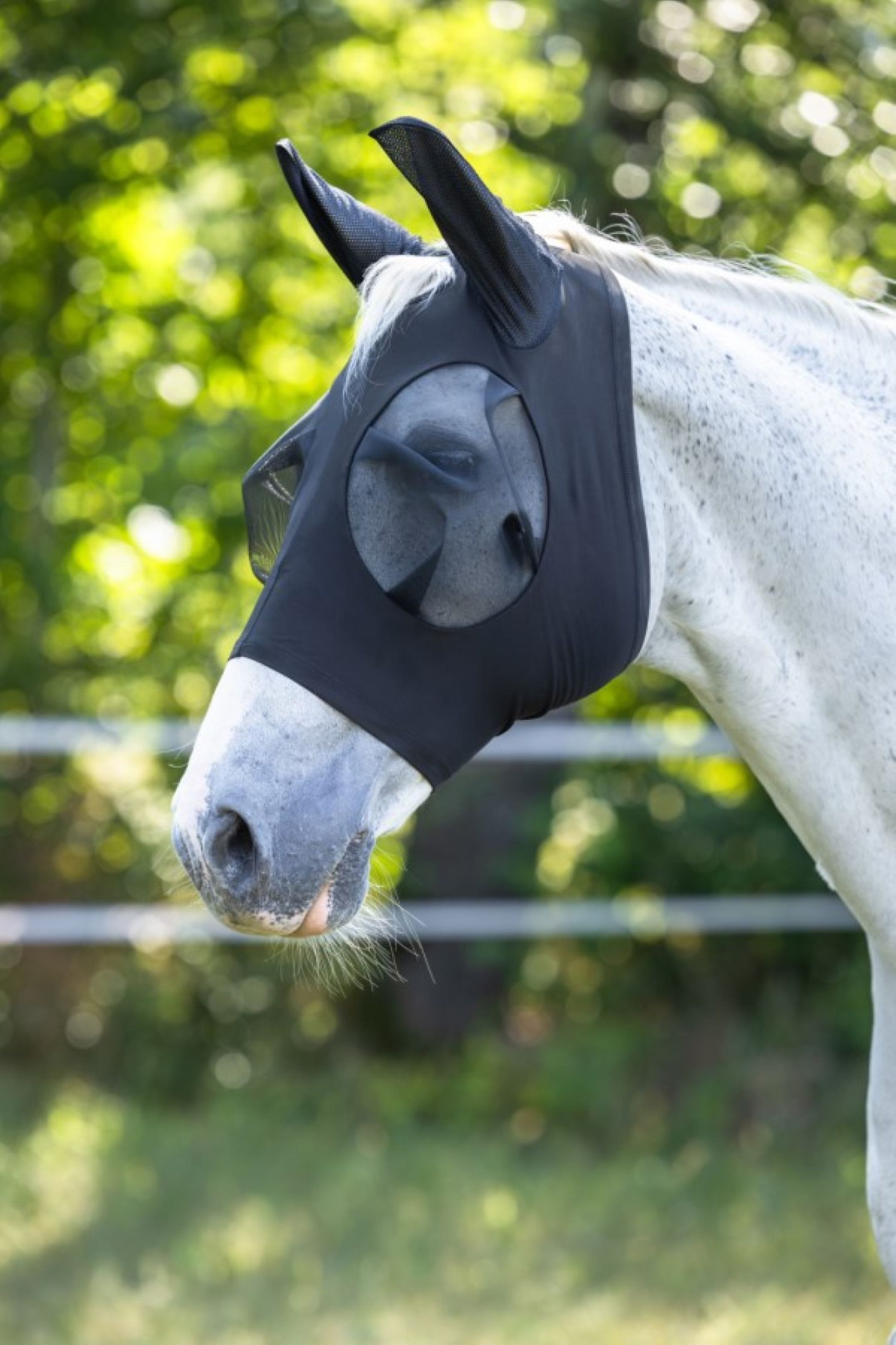 Kerbl Pferde-Fliegendecke Kerbl Fliegenschutzmaske FinoStrech schwarz, Full, 3229052