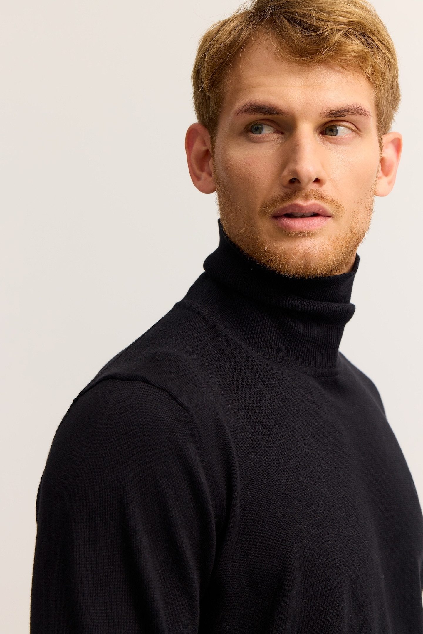 Rollkragenpullover Regular Fit