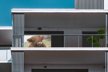 MuchoWow Balkonsichtschutz Schottischer Highlander - Braun - Tiere (1-St) Balkonbanner, Sichtschutz für den Balkon, Robustes und wetterfest