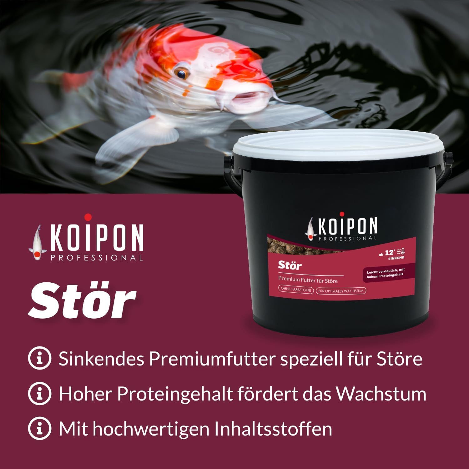KOIPON KOIPON Premium Störfutter 6mm sinkend für Störe & Koi, Trockenfutter für: Störe, Koi, Teichfische, Sinkfutter, Störfutter, Hoher Proteingehalt, Made in Germany