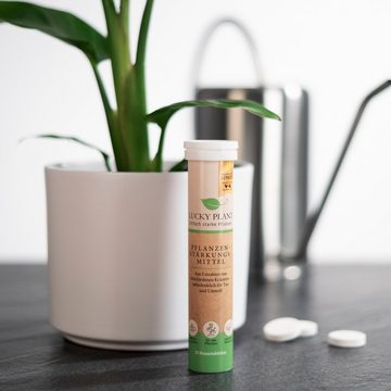 Lucky Plant Pflanzgranulat Pflanzenstärkung Brausetablette 20 Tabs Brausetabletten, unbedenklich für Tier und Umwelt