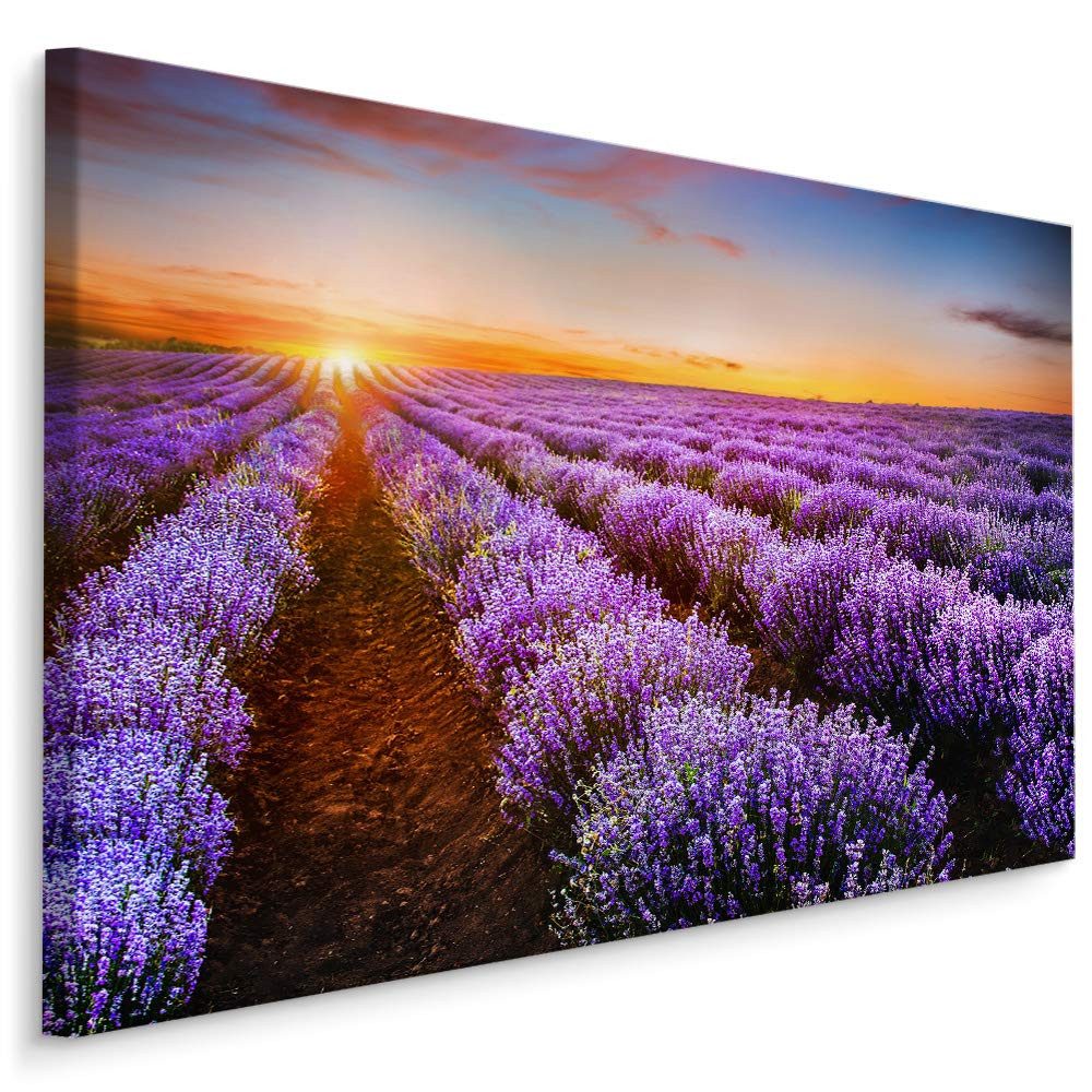 Muralo Leinwandbild Landschaft – Leinwandbild Wandbild Kunstdruck Wohnzimmer, Gewässer (1 St), Blumen – Lavendel – Sonnenuntergang, 100 x 70 cm, aufhängefertig
