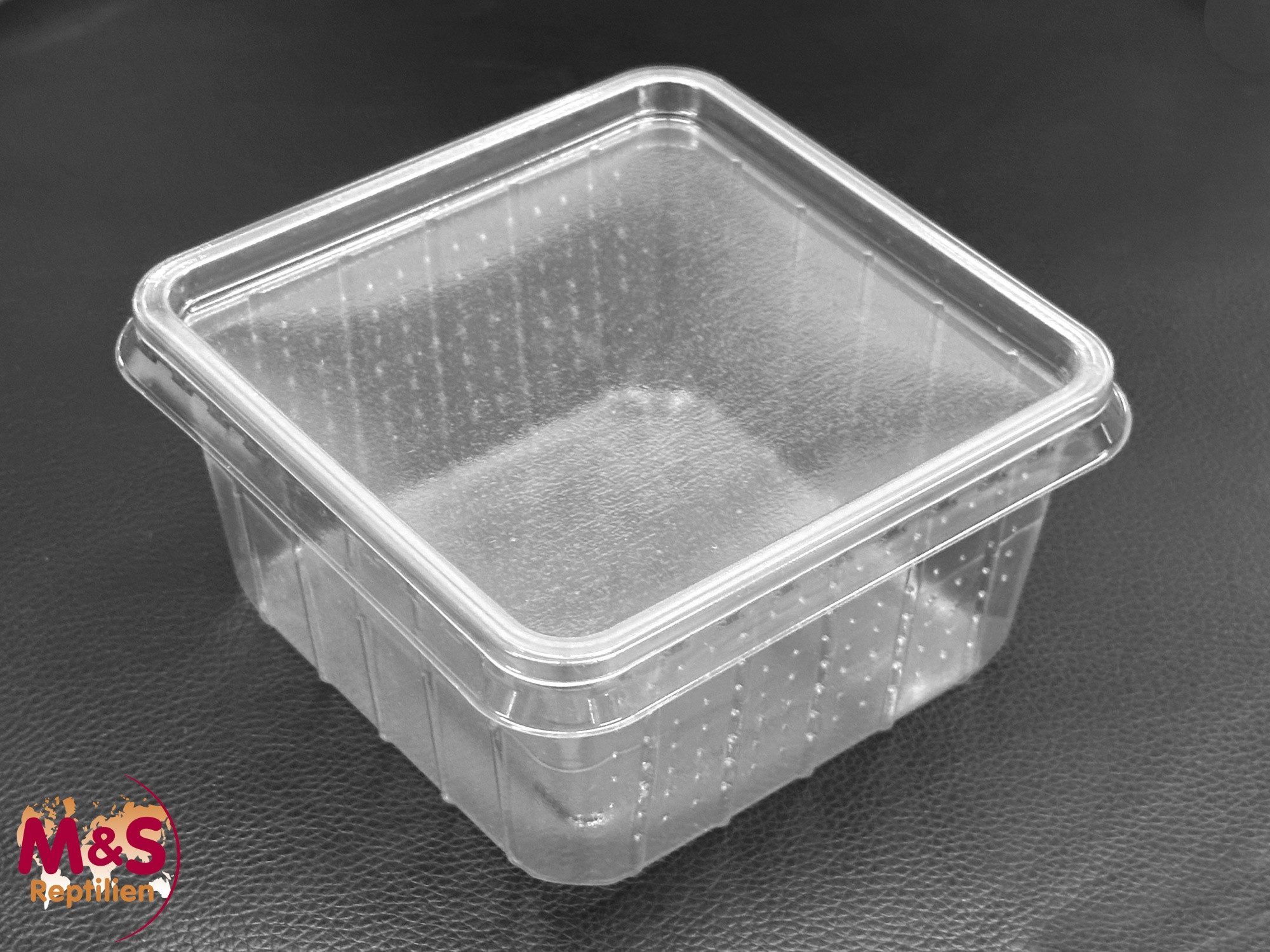 M&S Reptilien Terrarium Heimchendose