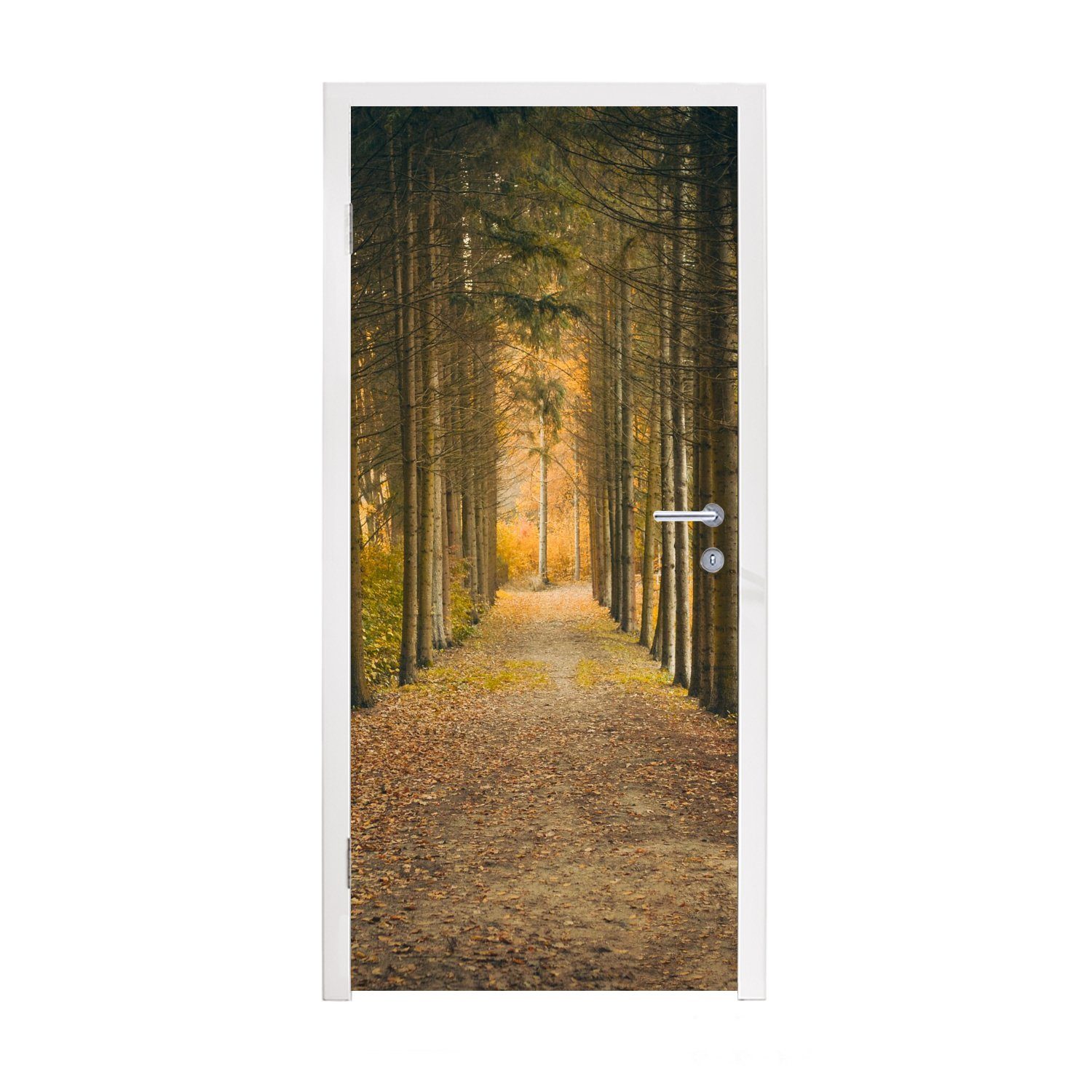 MuchoWow Türtapete Pfad - Bäume - Wald, Matt, bedruckt, (1 St), Fototapete für Tür, Türaufkleber, 75x205 cm | Türtapeten