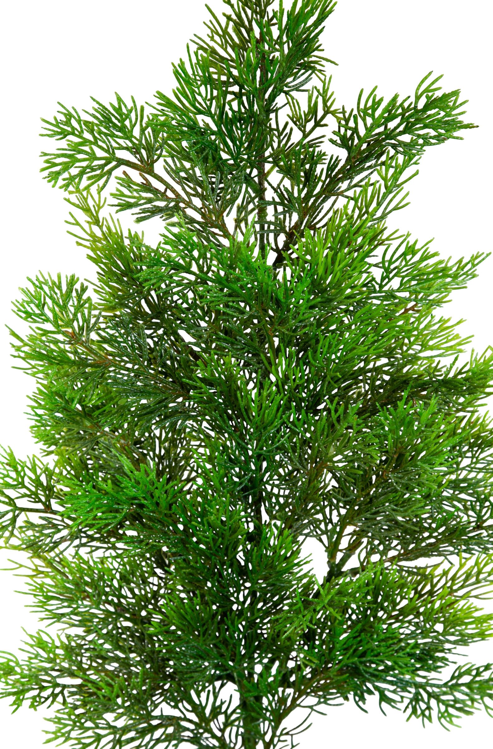 Kunstzweig Zedernzweig Nature ZJ Kunststoff 100% PE Spritzguss künstliche Zeder, Seidenblumen Roß, Länge: ca. 65cm
