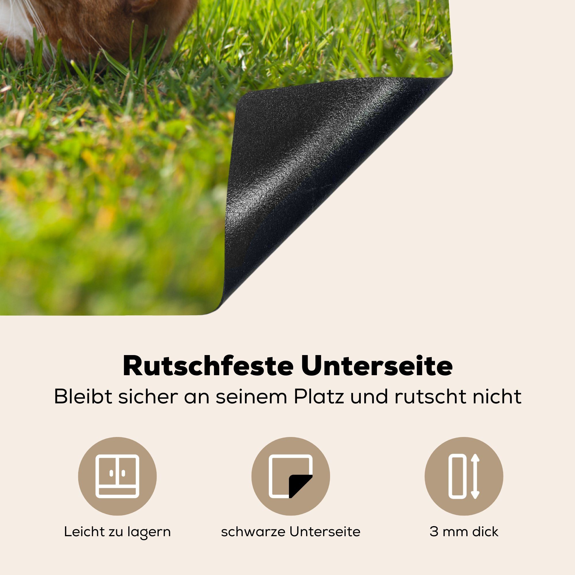 Schutz Gras, die küche, im Induktionskochfeld Ceranfeldabdeckung spielt (1 cm, Herdblende-/Abdeckplatte Vinyl, für 81x52 MuchoWow Katze tlg),