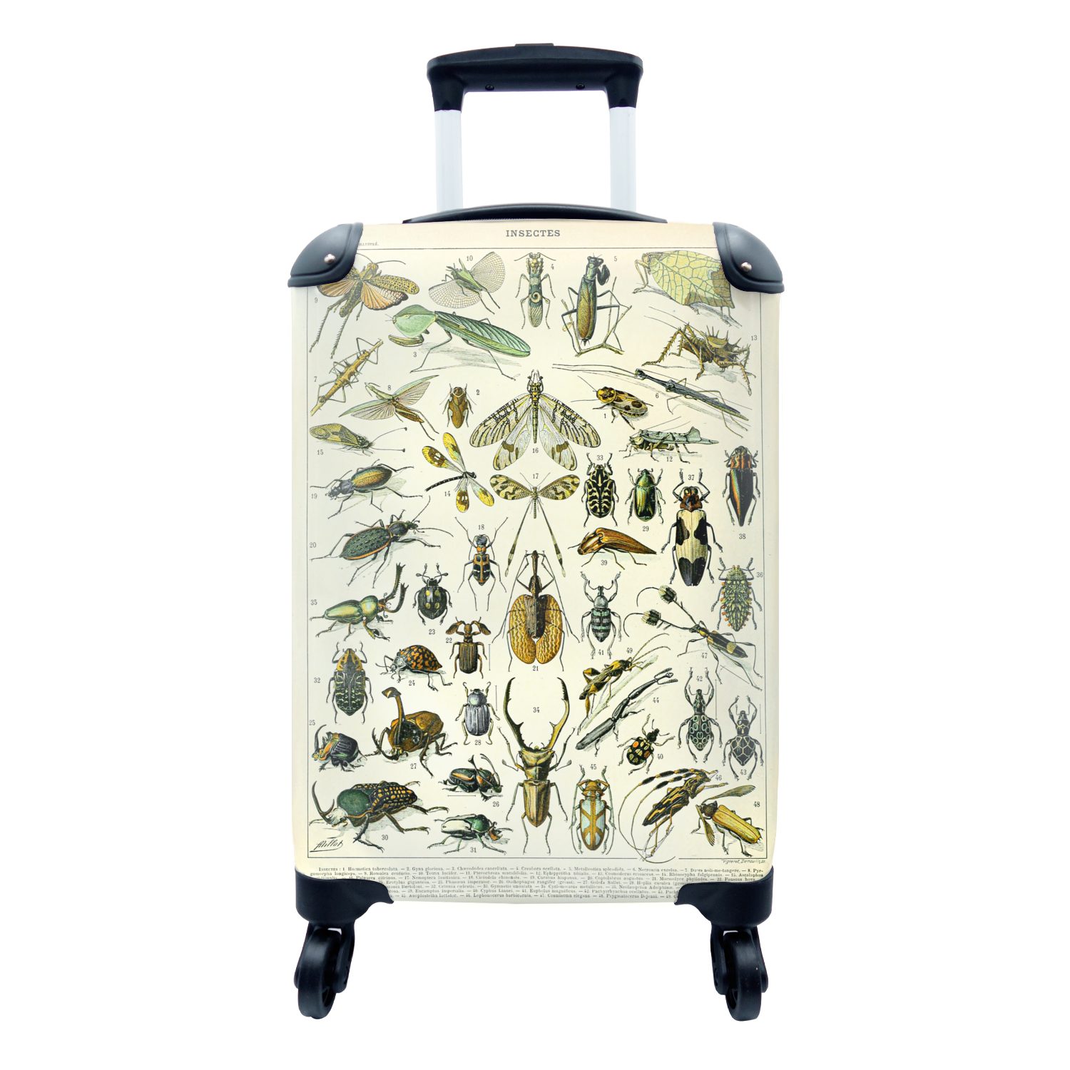 MuchoWow Handgepäckkoffer Insekten - Tiere - Libelle, 4 Rollen, Reisetasche mit rollen, Handgepäck für Ferien, Trolley, Reisekoffer