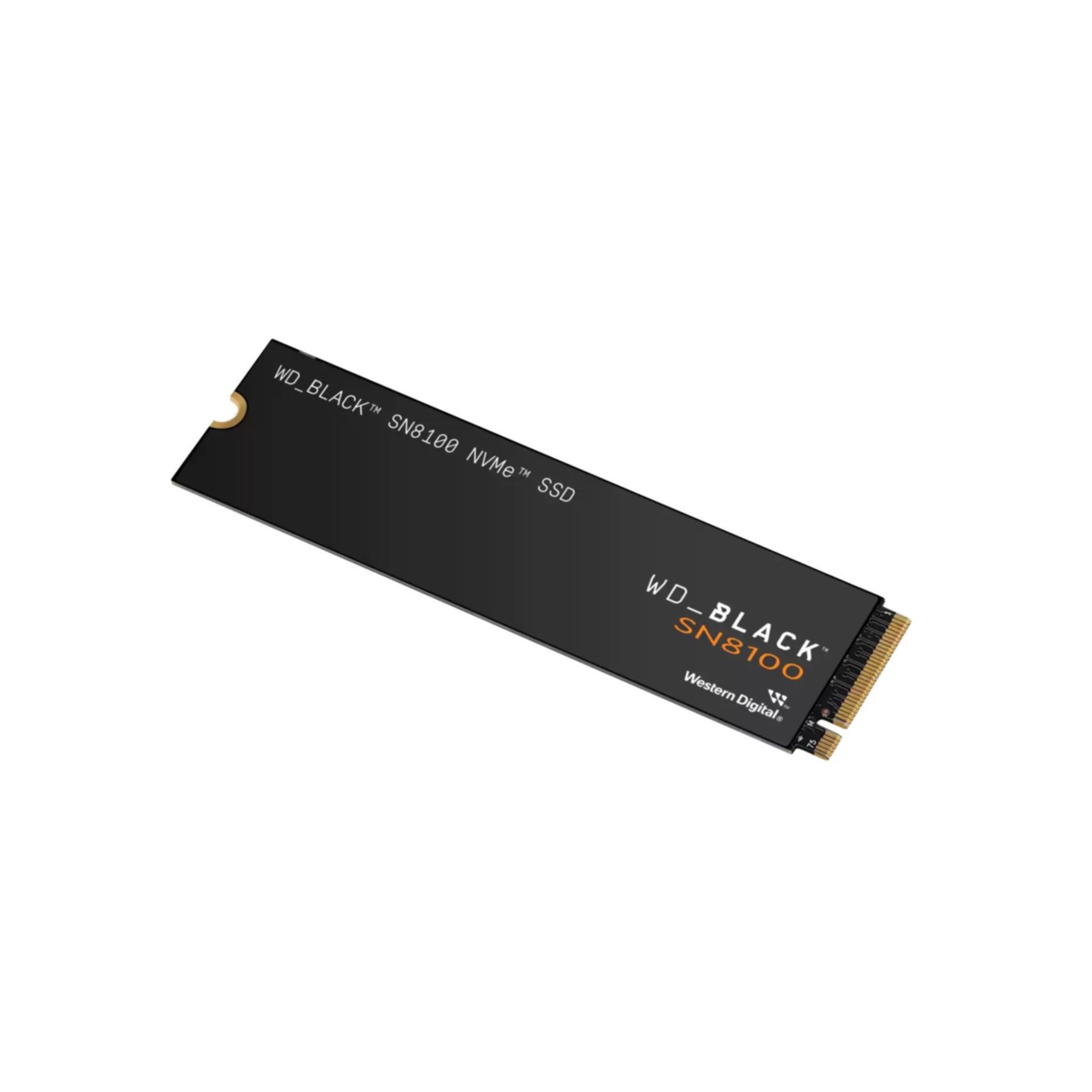 Sandisk SN8100 interne SSD