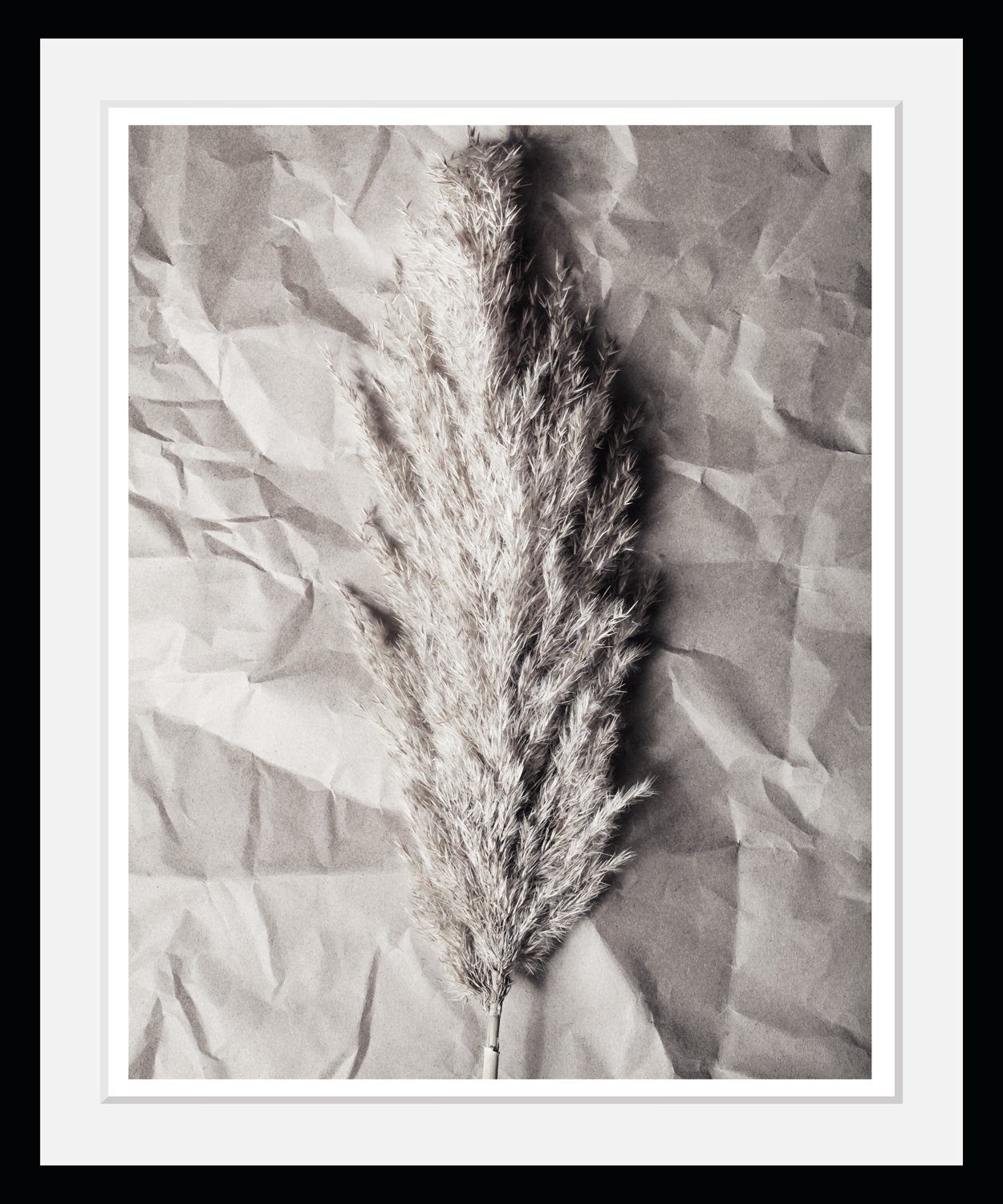 OTTO home Bild mit Rahmen Pampasgras - Gerahmter Digitaldruck - Wandbild, (1 St), Holzrahmen - Dekoration. Reduzierter Preis € 33,21. Unverbindliche Preisempfehlung € 39,90