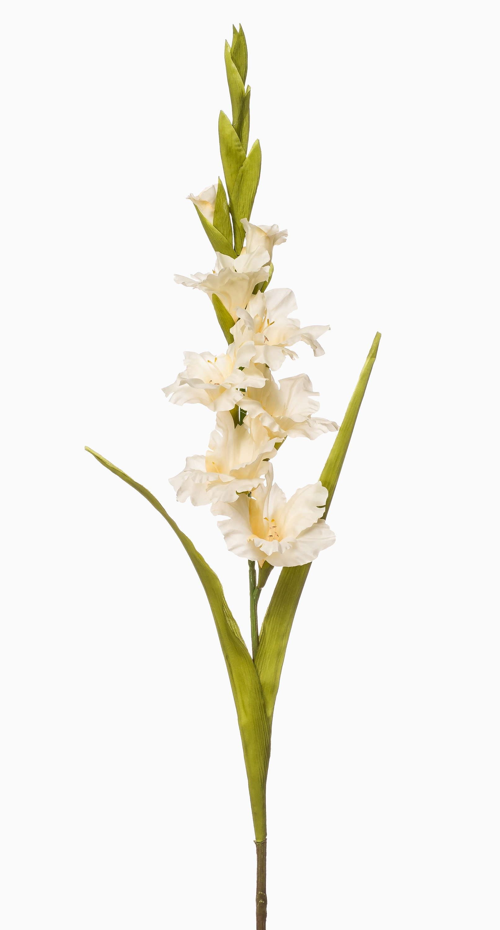 Kunstblume Künstliche Gladiole NOVNIF, Creme, 95cm Gladiole, artplants, Höhe 95.0 cm