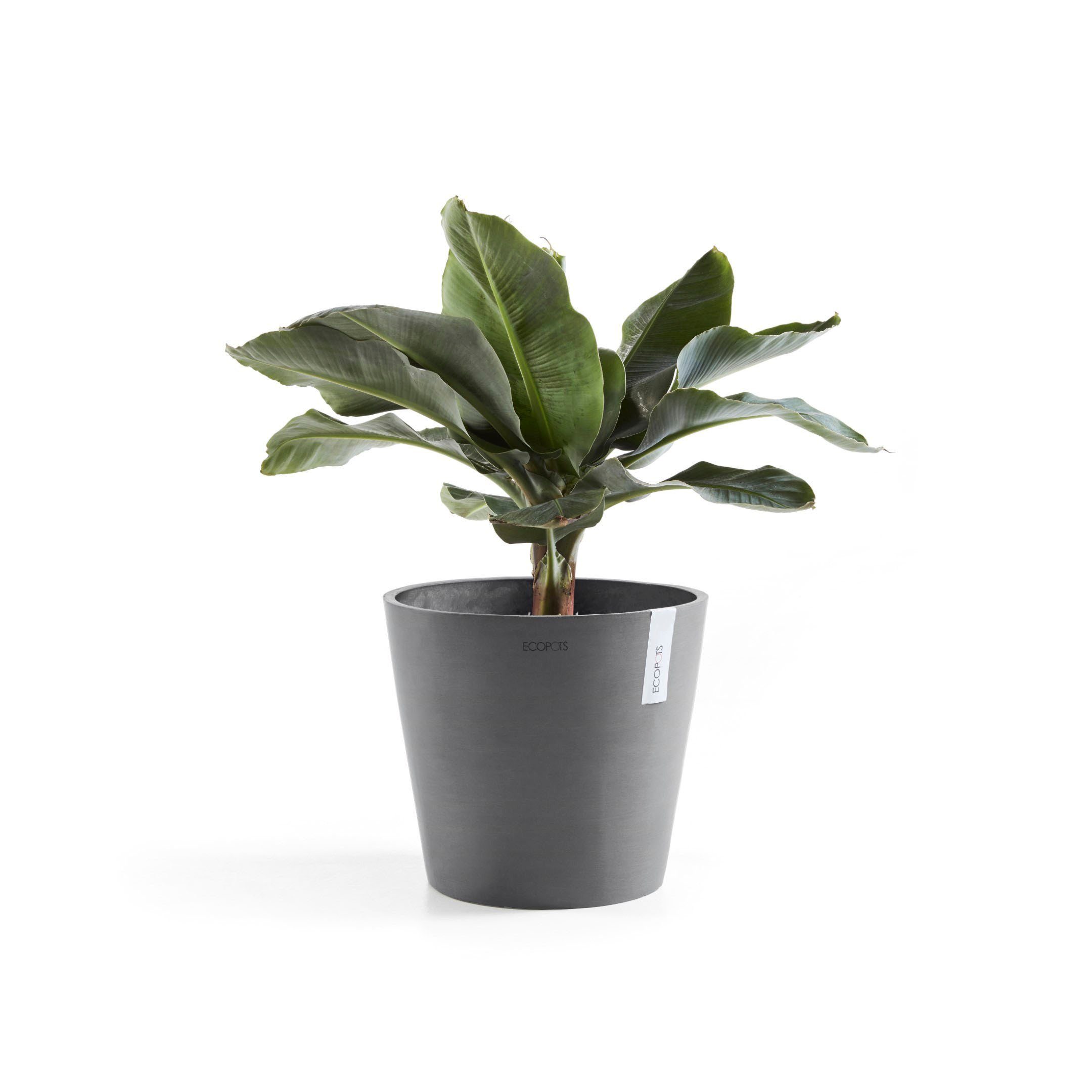 ECOPOTS Blumentopf Amsterdam, ØxH: 30x26,3 cm