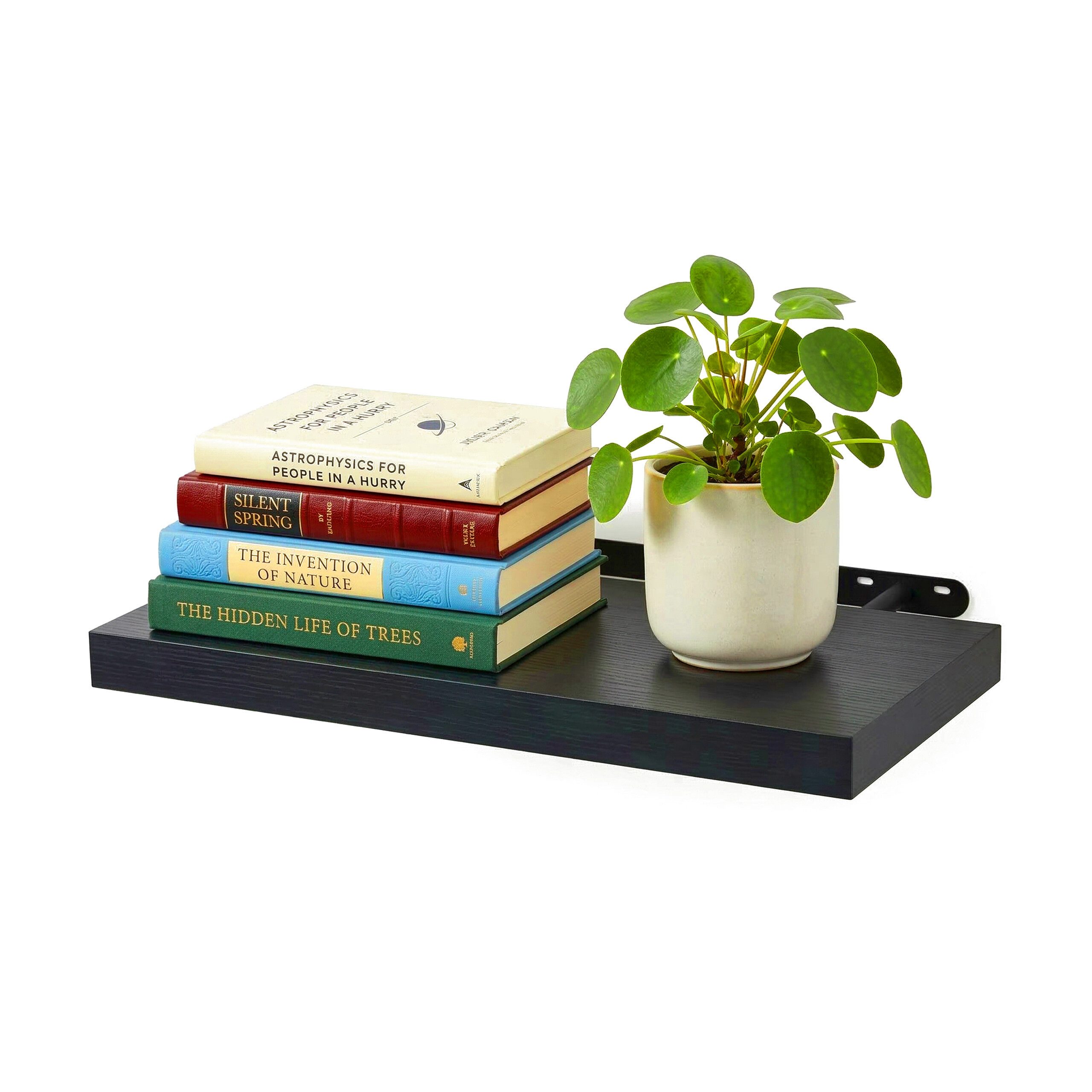 relaxdays Wandregal mit Metallhalterung, 1-tlg., schwarz, 50 cm