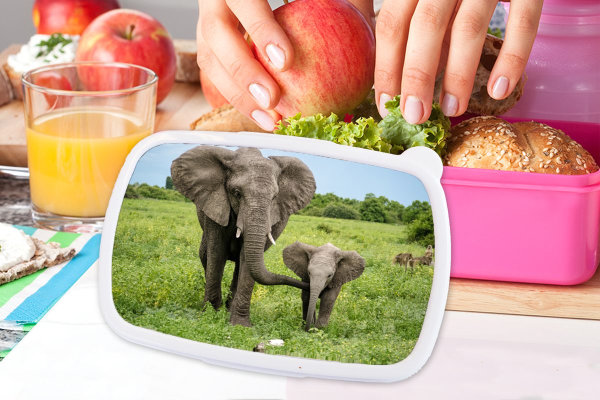 Kinder, Snackbox, Kunststoff, für - (2-tlg), Kunststoff Elefant Erwachsene, Brotbox MuchoWow Mädchen, Park, Brotdose Lunchbox Natur rosa -
