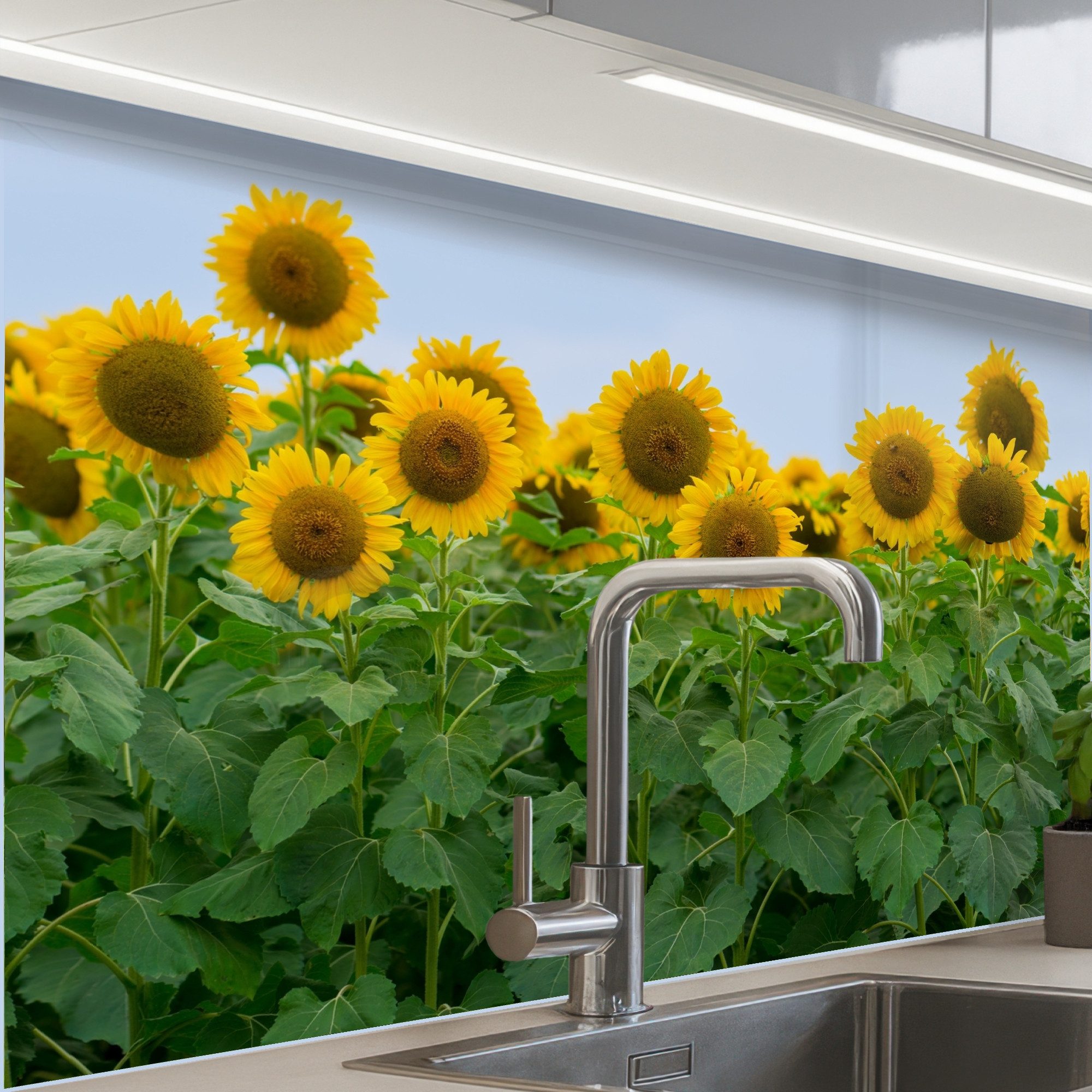KitchenYeah Küchenrückwand Muster selbstklebend (keine Folie) Sonnenblumen - Gelb - Natur, (1-tlg), Spritzschutz, Küche, Rückwand, Küchenwand, Küchenfront, 30x20 cm