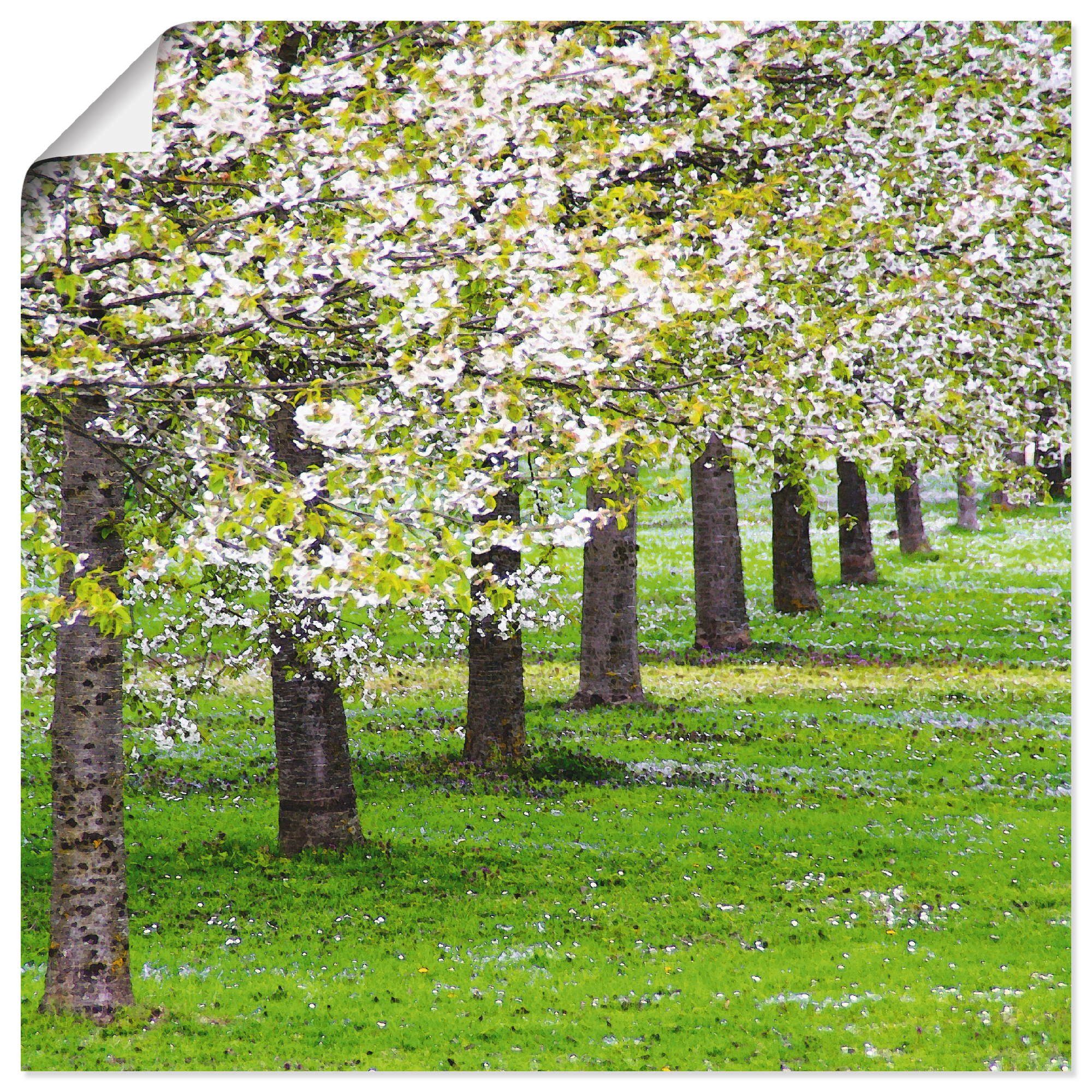 St), Größen Blütenmeer, Wandbild Alubild, Bäume Leinwandbild, als versch. Poster Wandaufkleber (1 oder Artland in