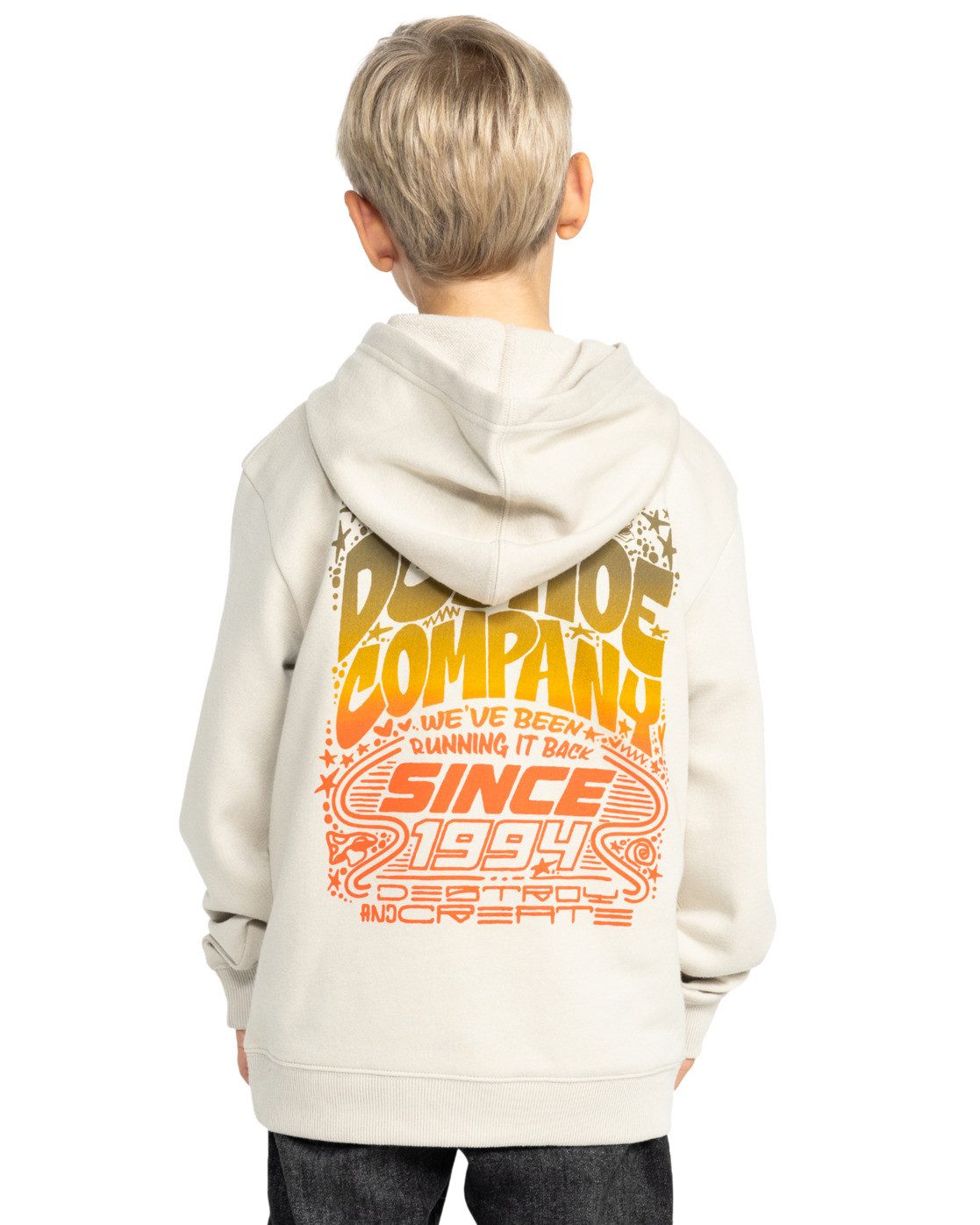 DC Shoes Hoodie Hot Box günstig online kaufen