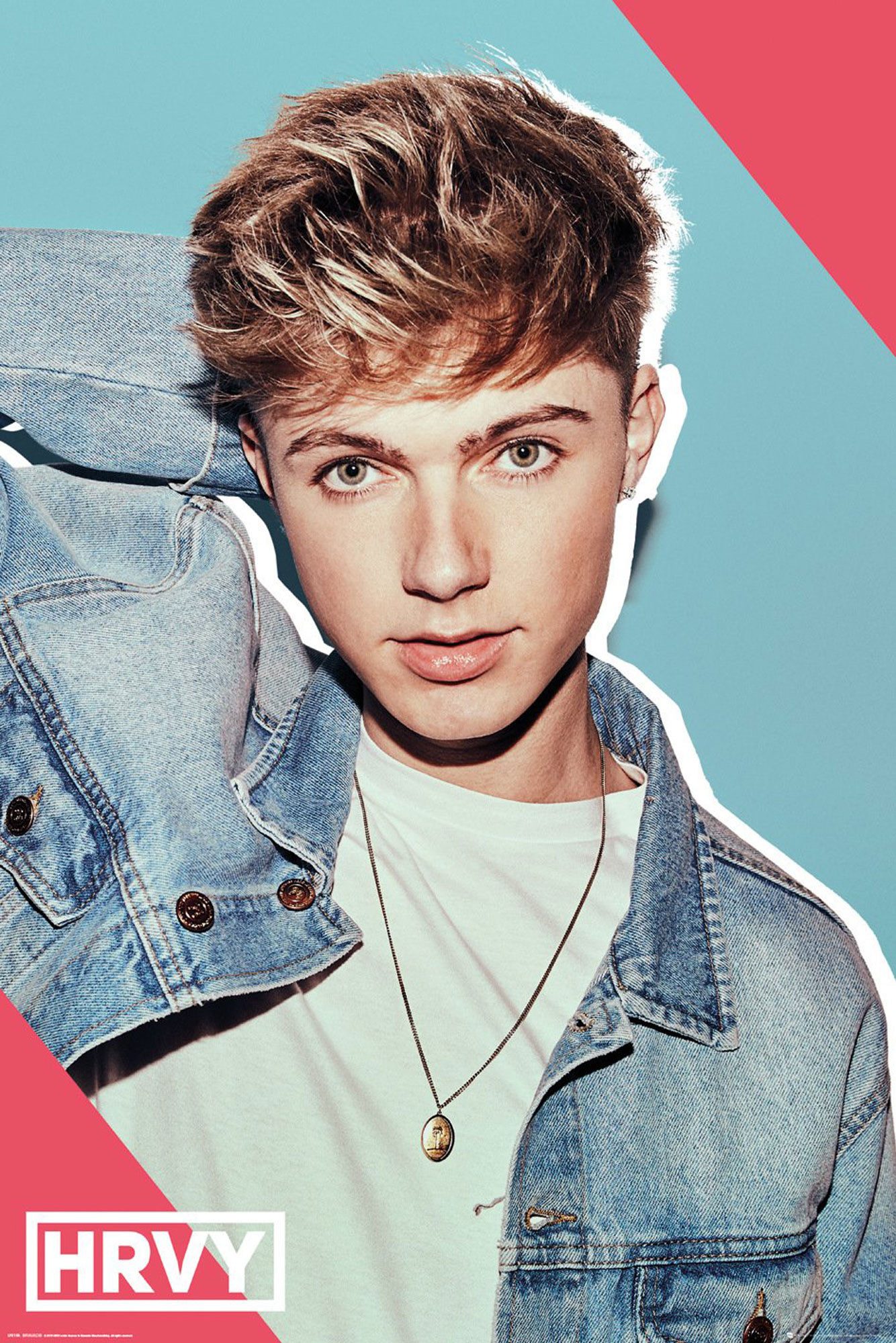 Poster HRVY - Poster - Pin Up