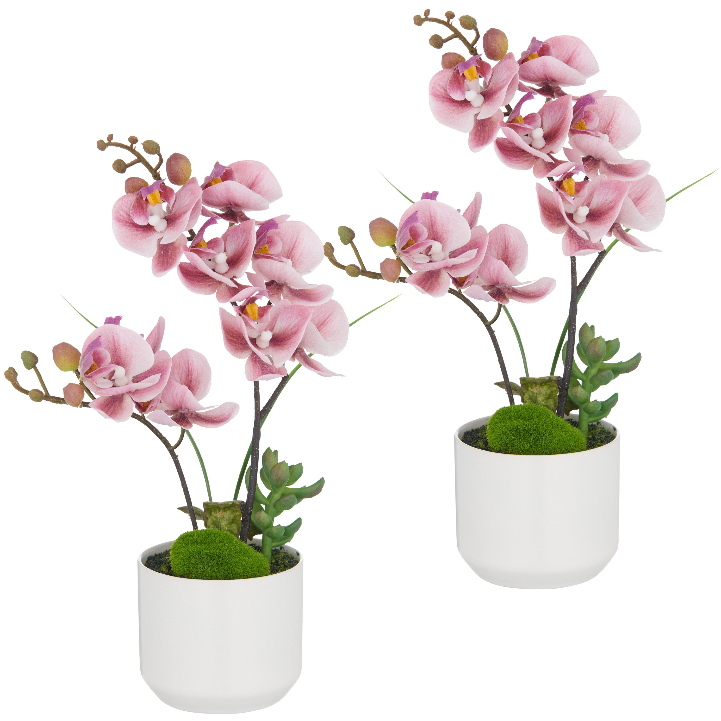Kunstorchidee Orchidee Phalaenopsis, Creativ green, Höhe 30 cm, mit real-touch-Blüten