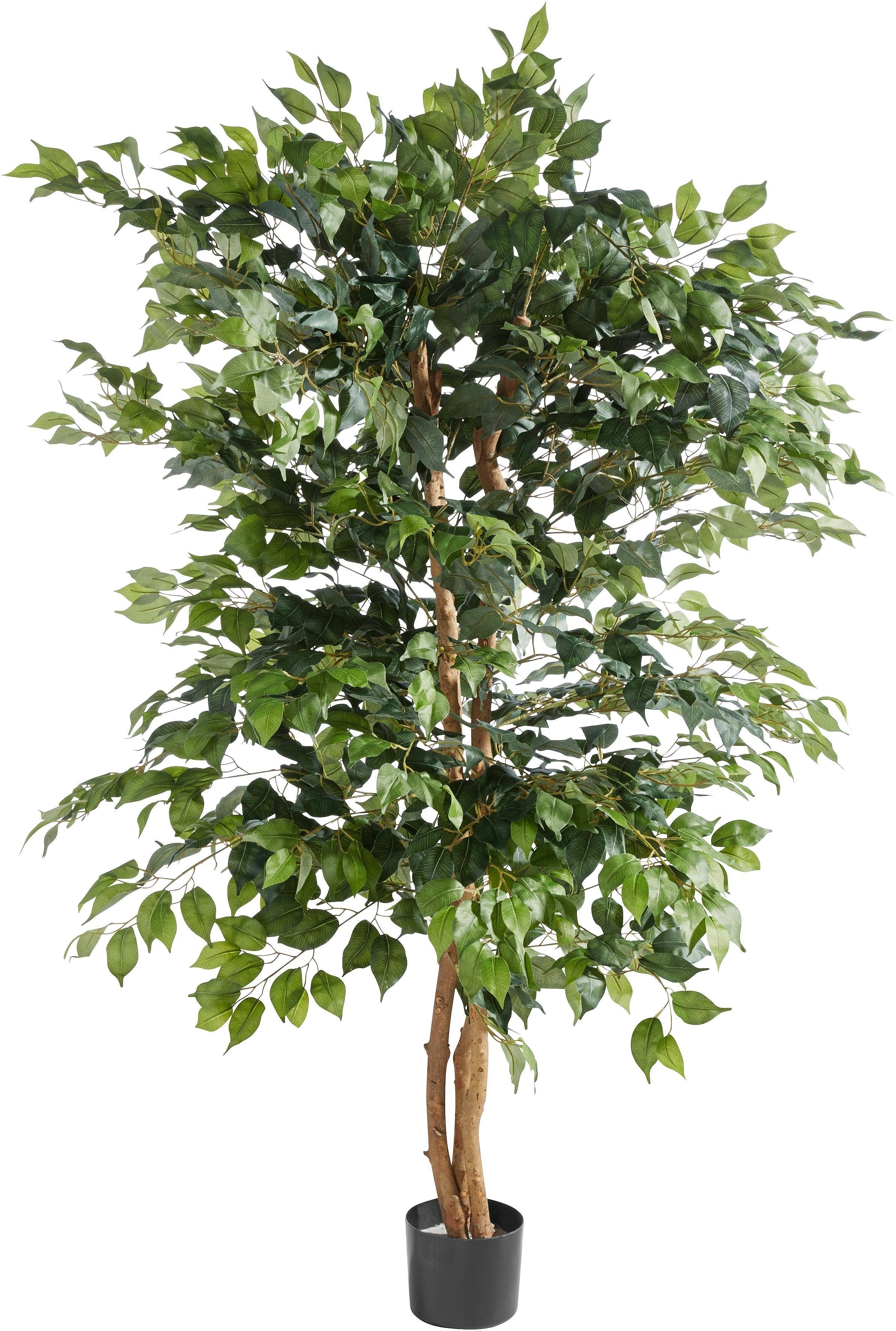 Kunstpflanze Ficus Benjamini, Creativ green, Höhe 150 cm