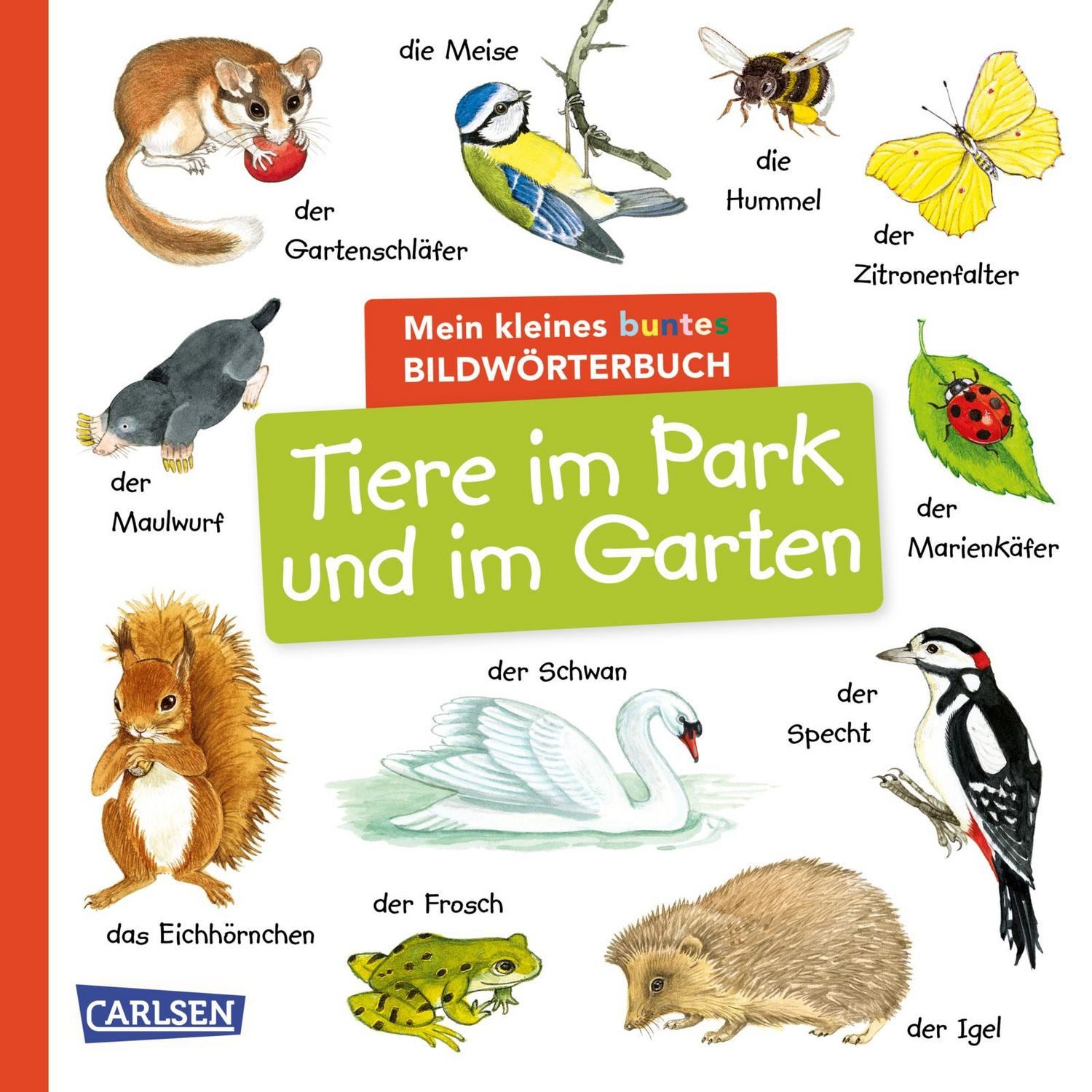 Mein kleines buntes Bildwörterbuch: Tiere im Park und im Garten / diverse
