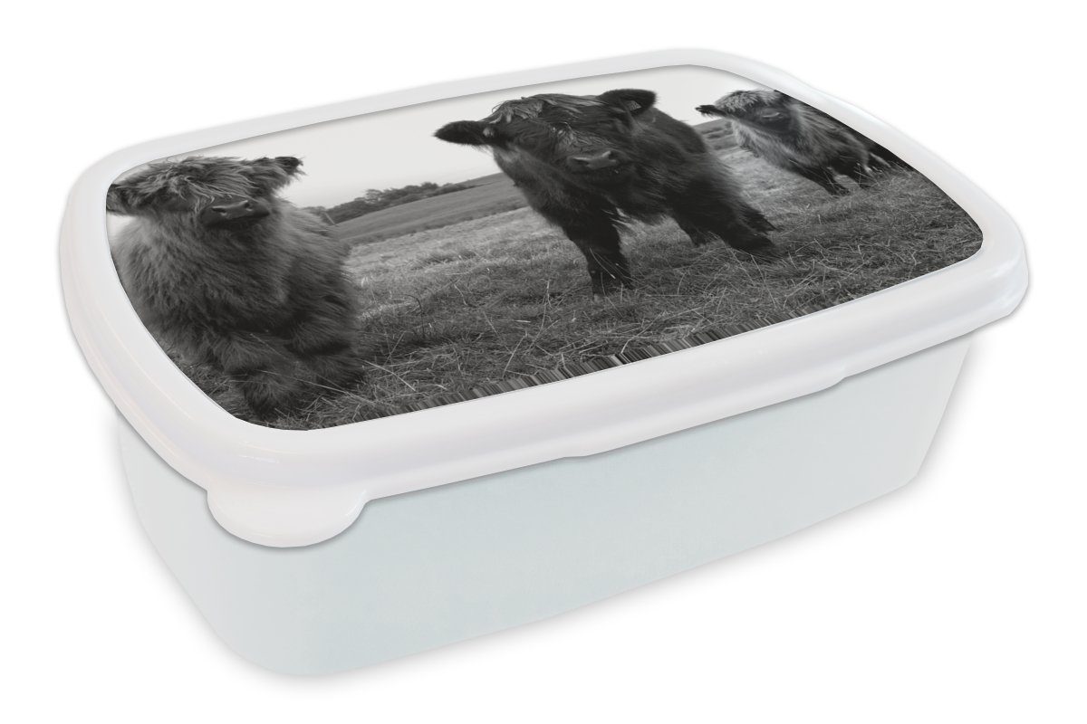 MuchoWow Lunchbox Schottische Highlander - Kühe - Natur - Grün - Gras, Kunststoff, (2-tlg), Brotbox für Kinder und Erwachsene, Brotdose, für Jungs und Mädchen weiß