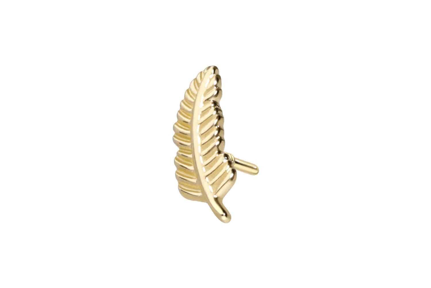 Piercing-Set 14 Karat Gold Schraubaufsatz mit Außengewinde FEDER