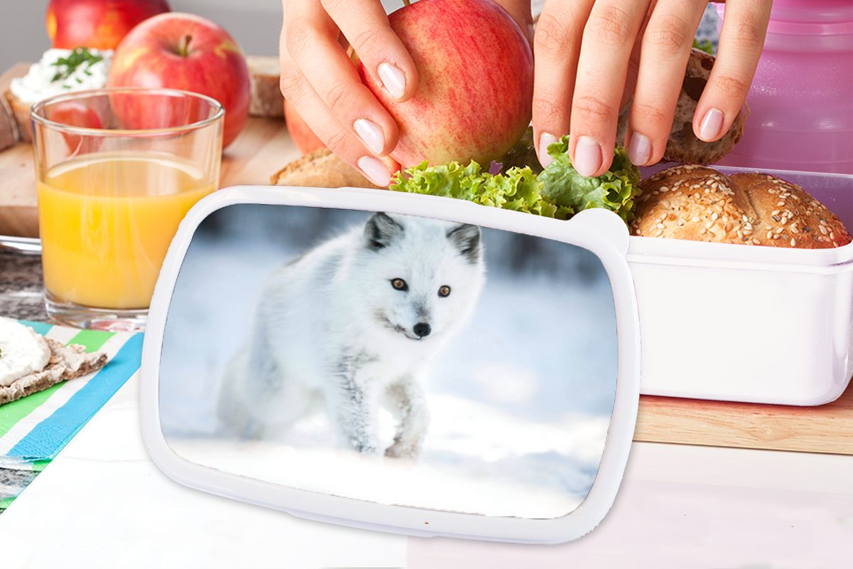 Weiß Fuchs Kinder MuchoWow Kunststoff, (2-tlg), Jungs und Lunchbox für für Brotbox Erwachsene, - Brotdose, Schnee, Mädchen - und