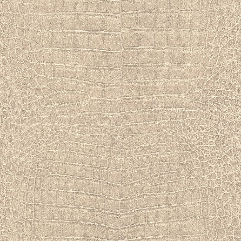 Rasch Vliestapete Vinyltapete Rasch Muster & Motive Beige-Hellbeige 751345