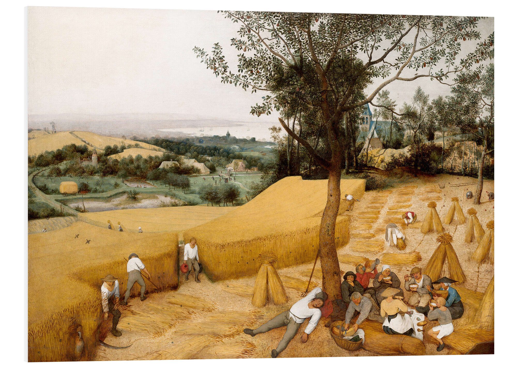 Forex-Bild Pieter Brueghel d.Ä.