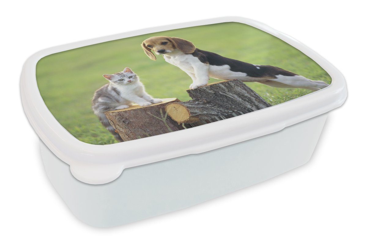 Brotdose, Hund für Jungs und Mädchen Kunststoff, für MuchoWow weiß Baum, - Lunchbox (2-tlg), und Kinder - Brotbox Katze Erwachsene,